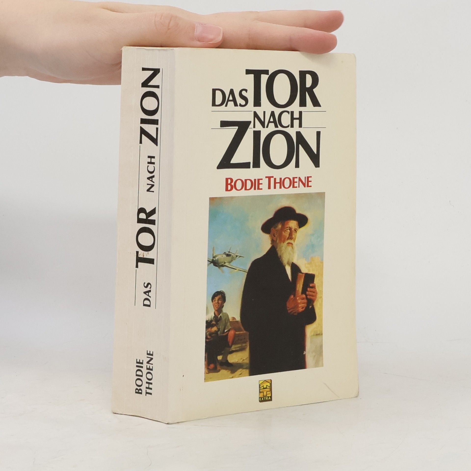 Die Zion-Chroniken - 4: Licht über Zion