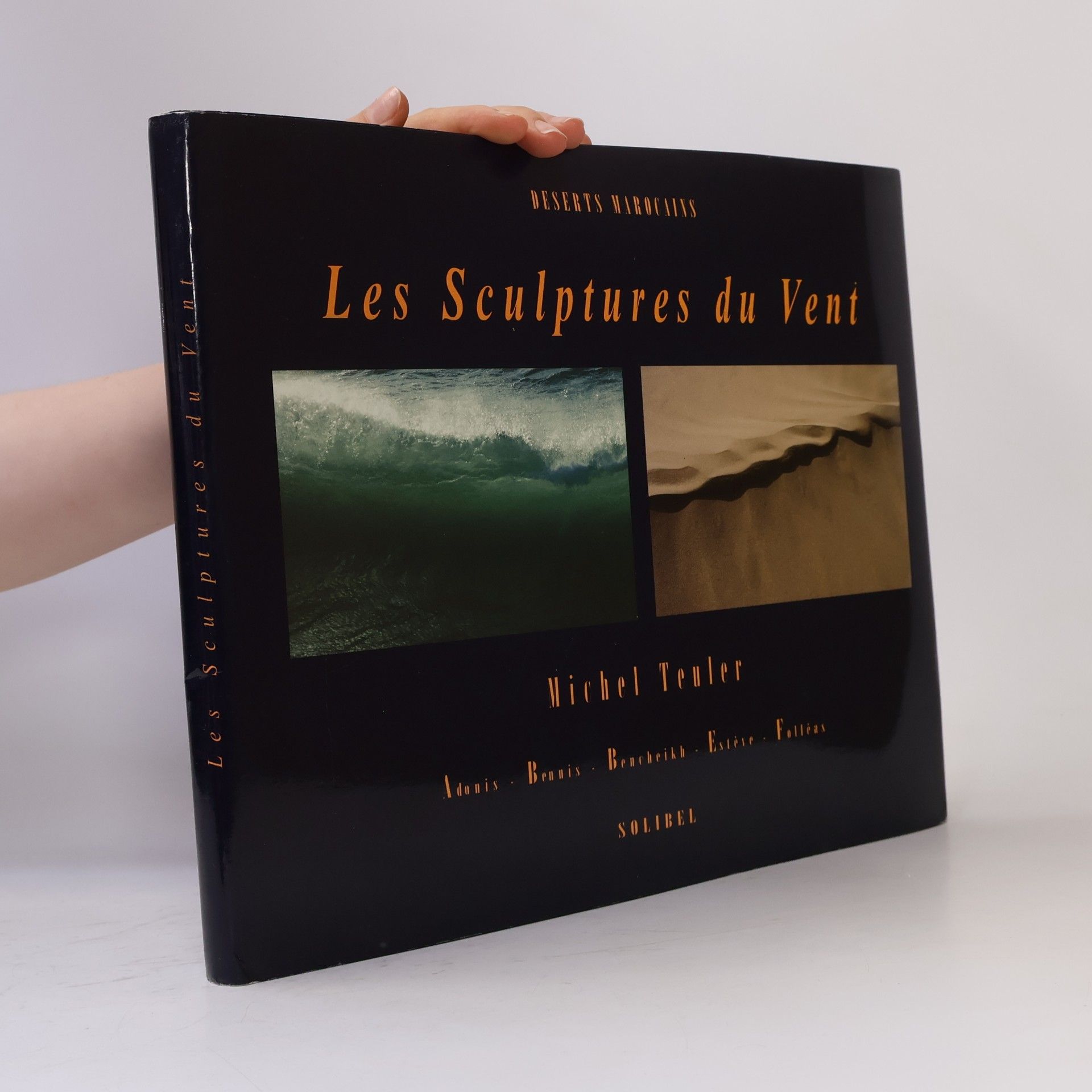 Michel Teuler  Les sculptures du vent
