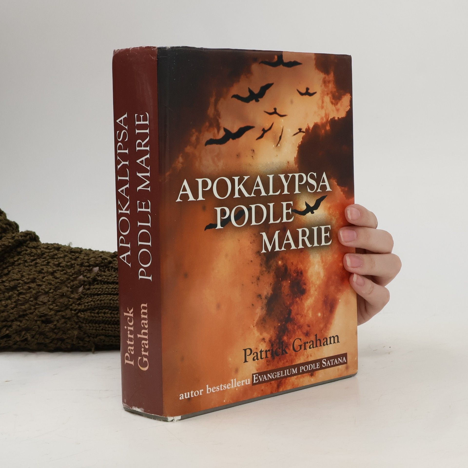 Patrick Graham Apokalypsa podle Marie