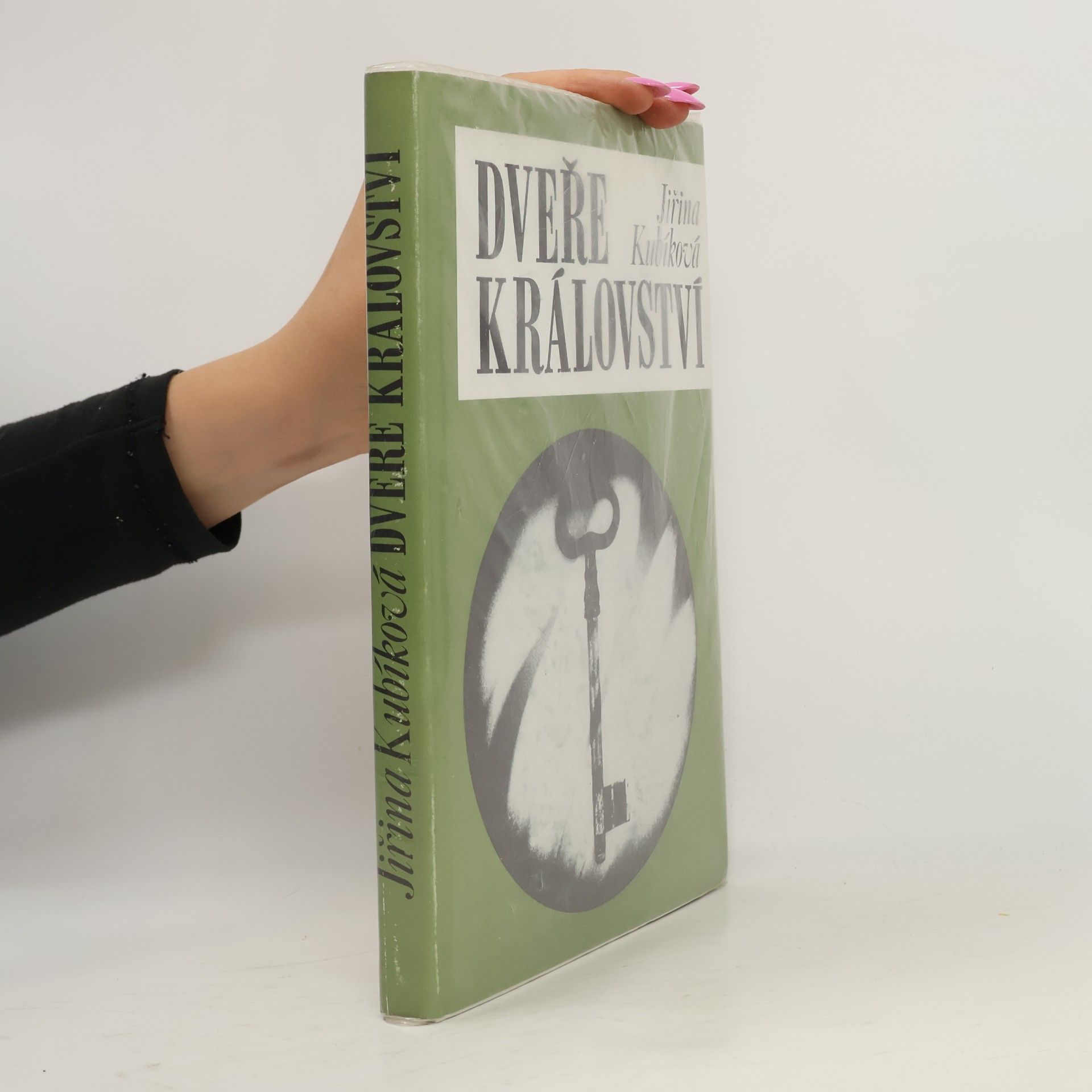 Jiřina Kubíková Dveře království
