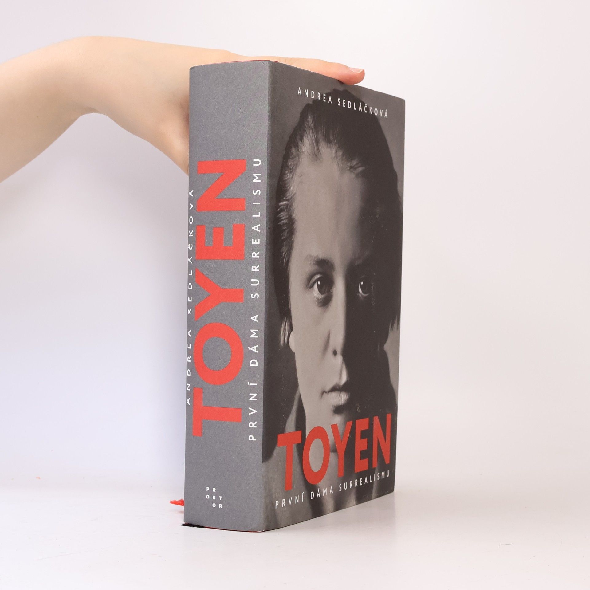 Andrea Sedláčková Toyen: první dáma surrealismu