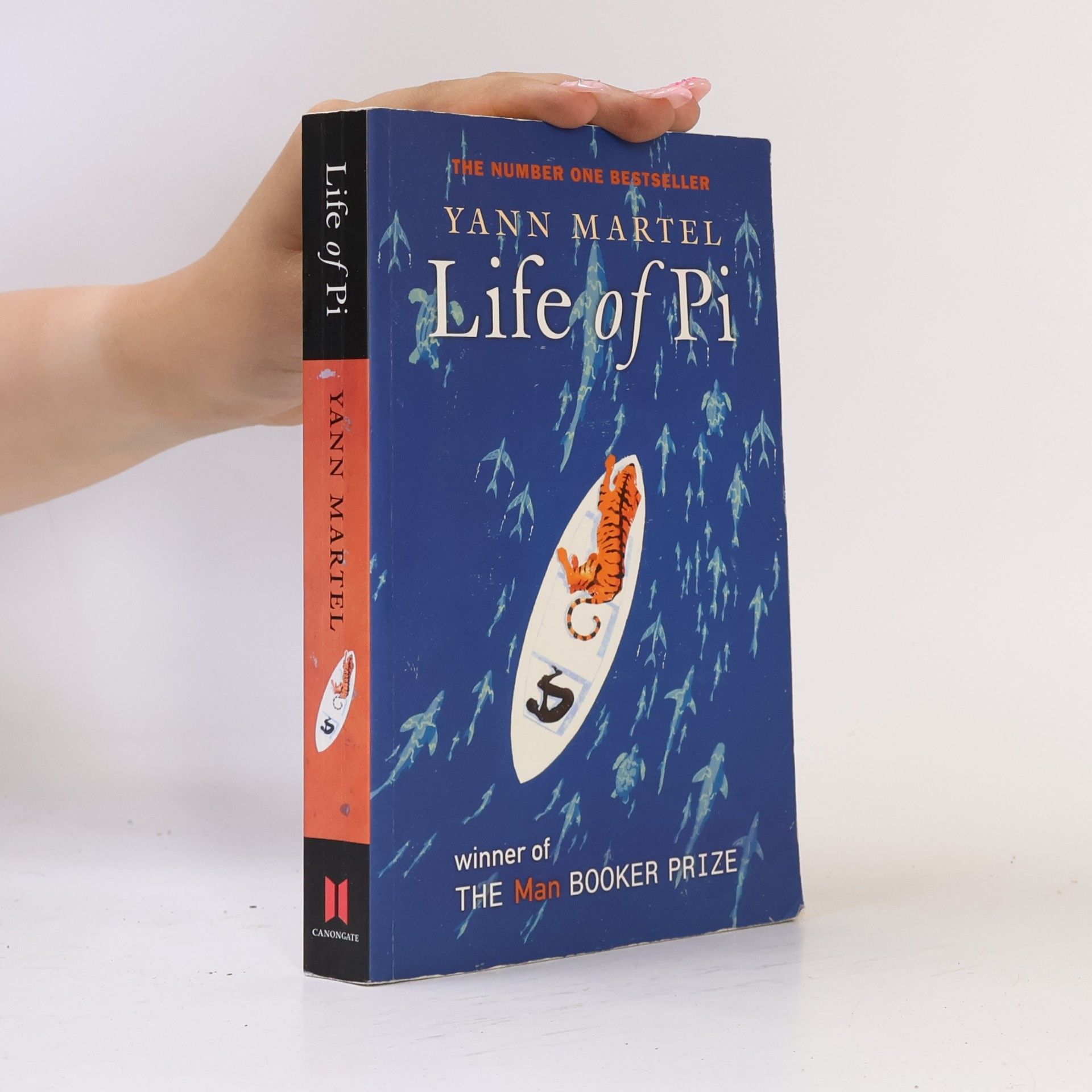 Yann Martel Life of Pi