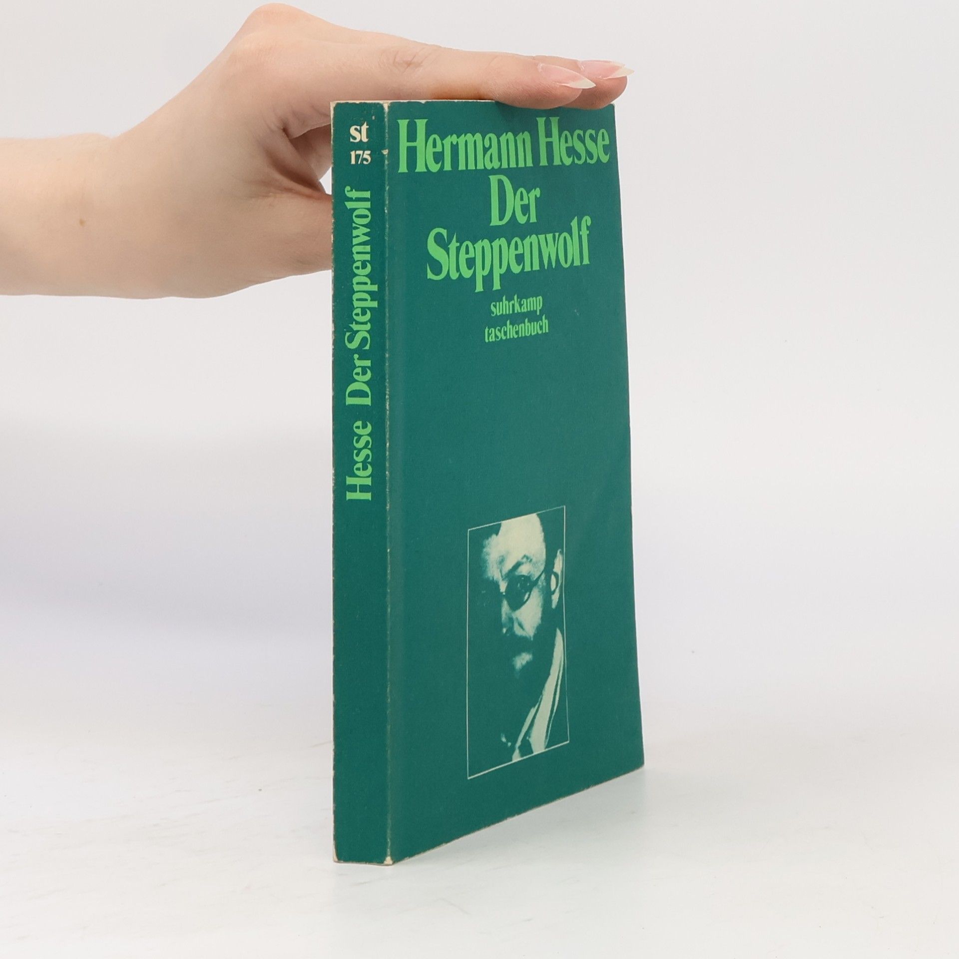 Hermann Hesse Der Steppenwolf