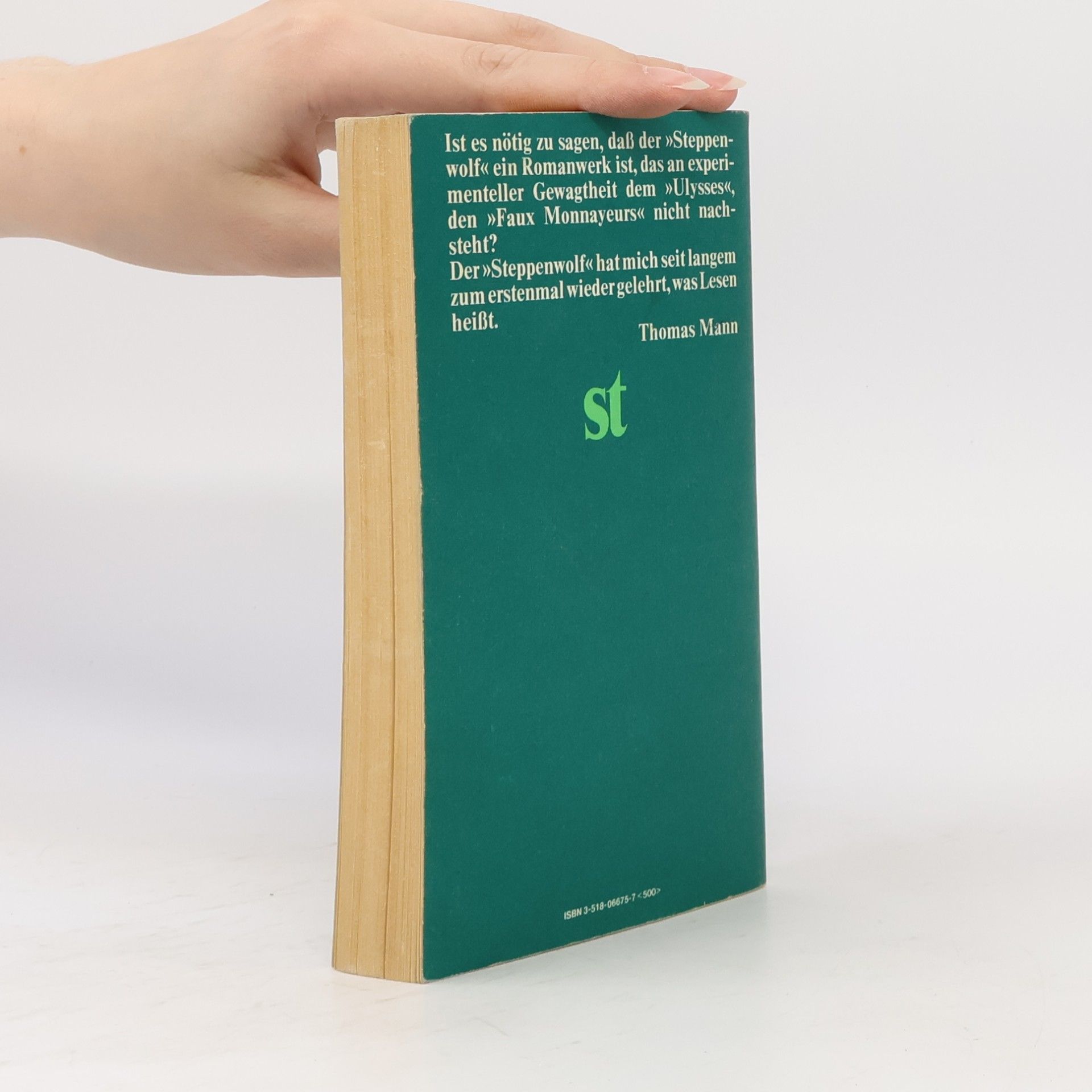 Hermann Hesse Der Steppenwolf