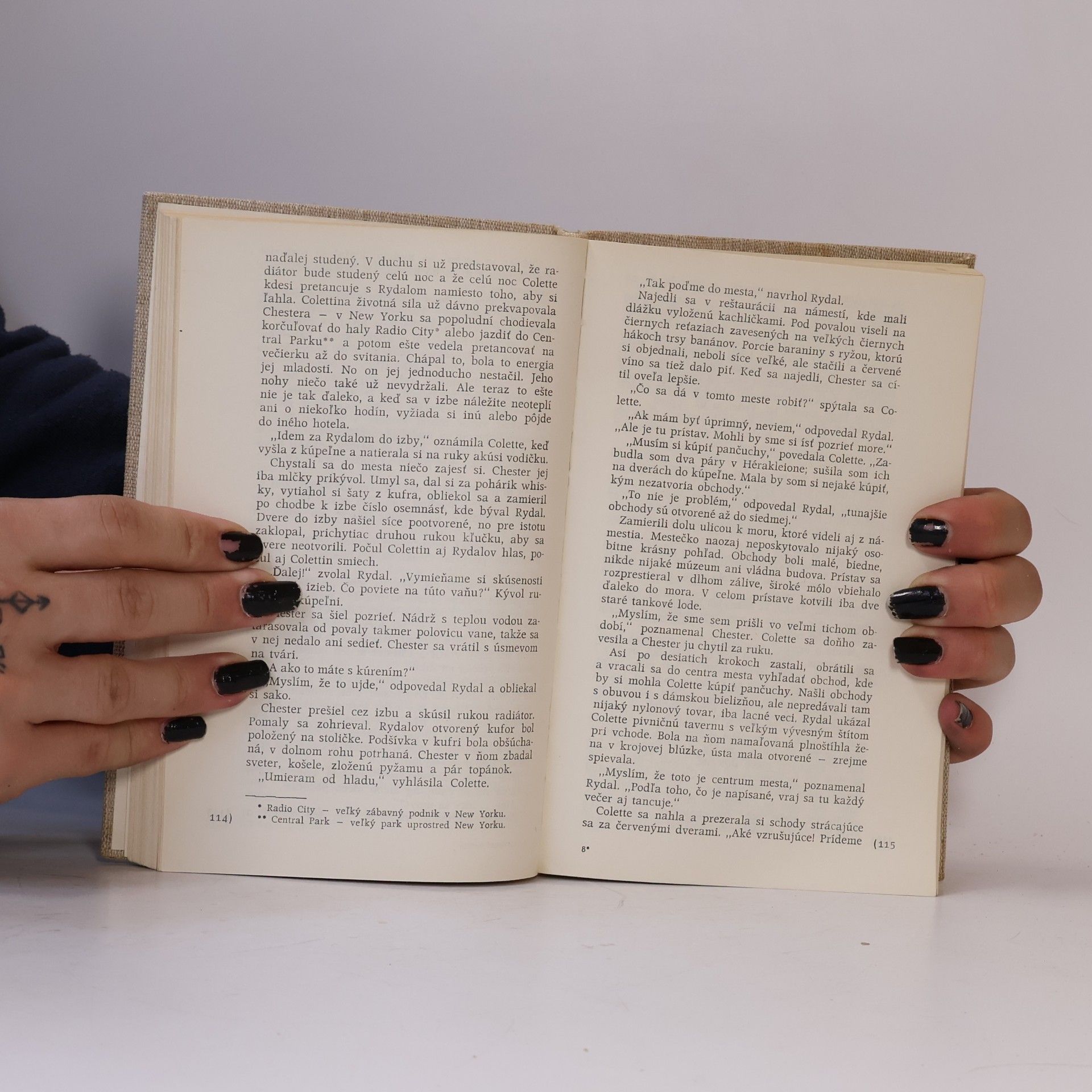 Patricia Highsmith Žiarlivosť zabíja