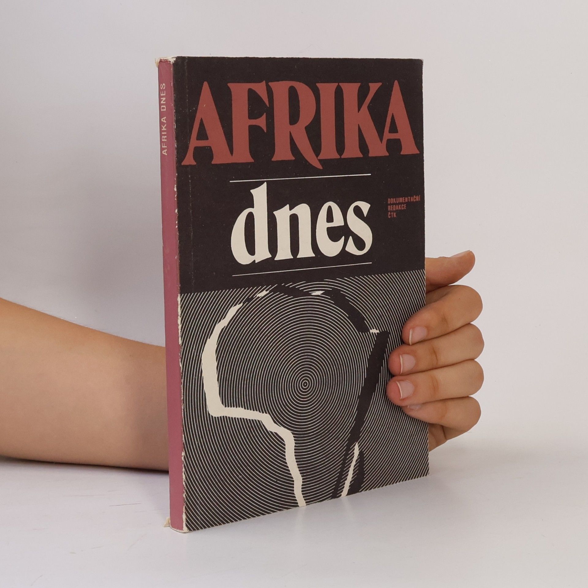 Kolektiv autorů Afrika dnes