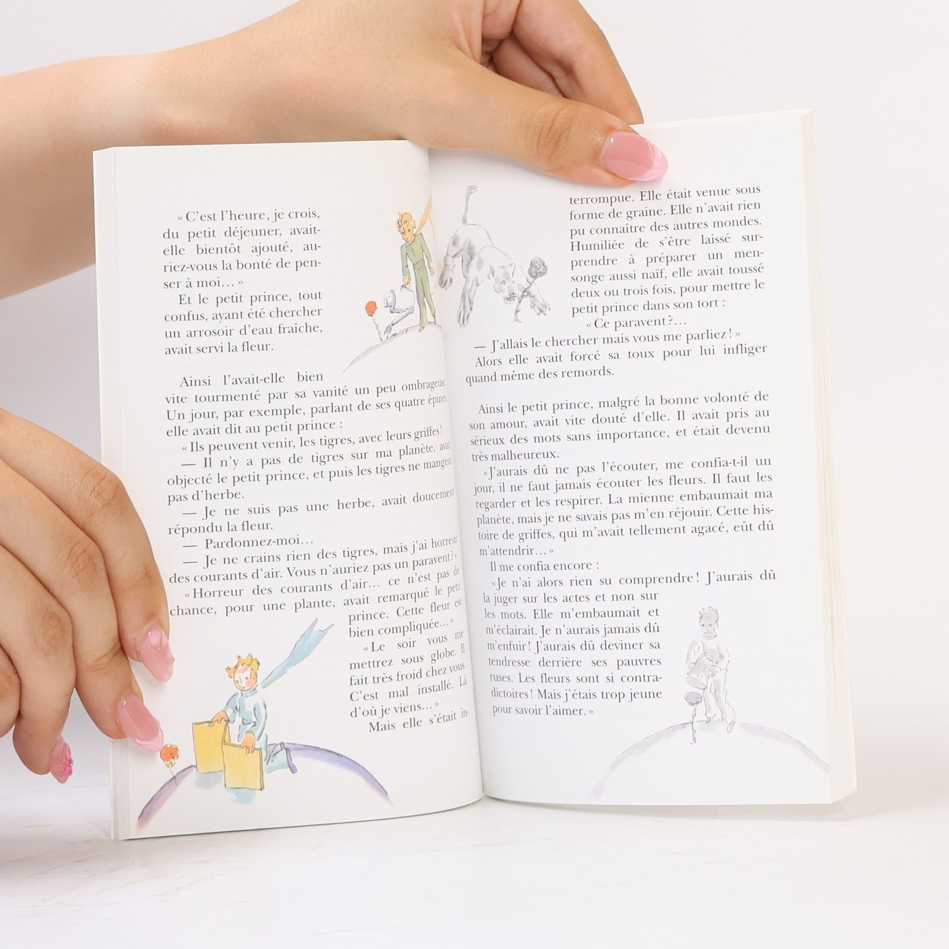 Antoine de Saint-Exupéry Le petit prince