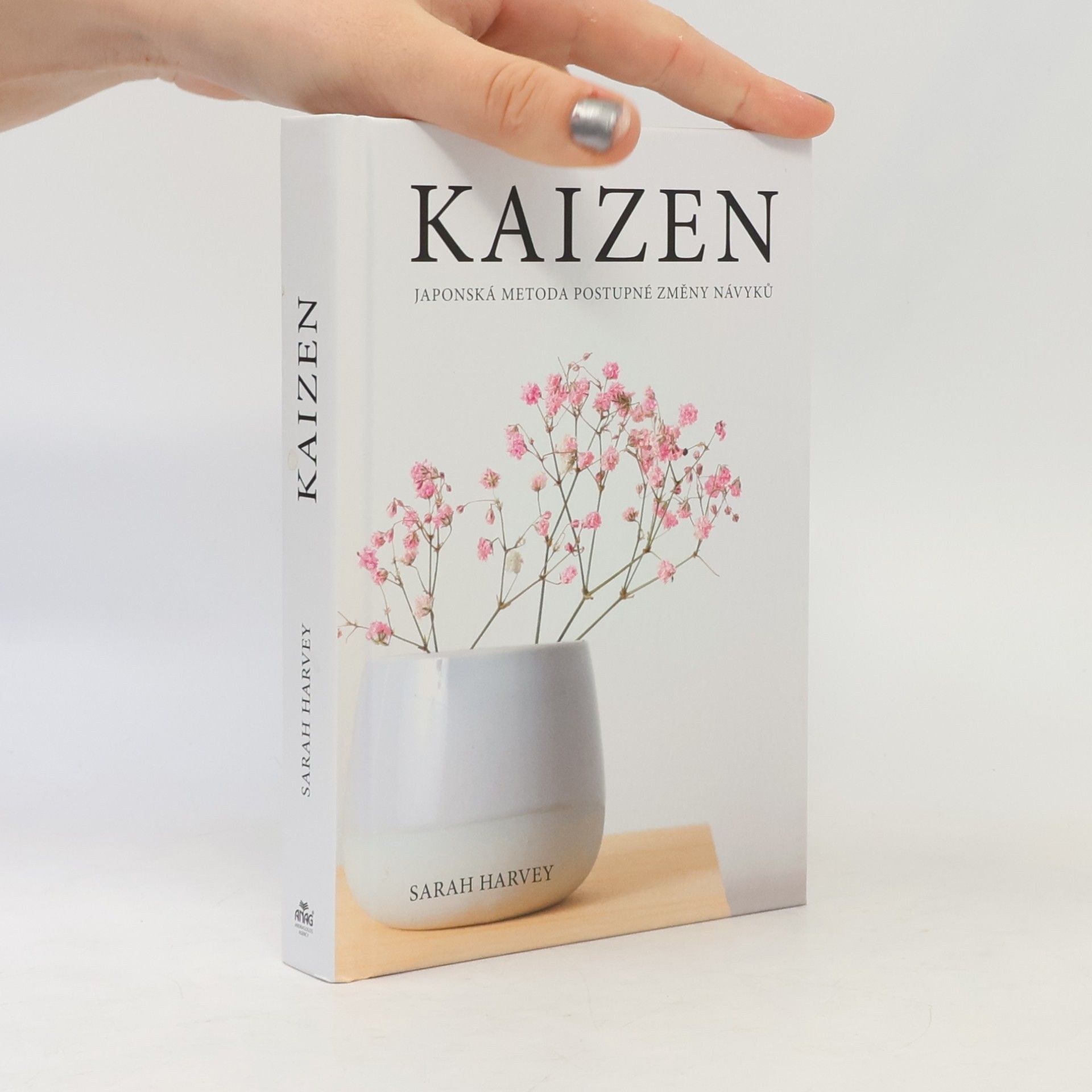 Sarah Harvey Kaizen: Japonská metoda postupné změny návyků
