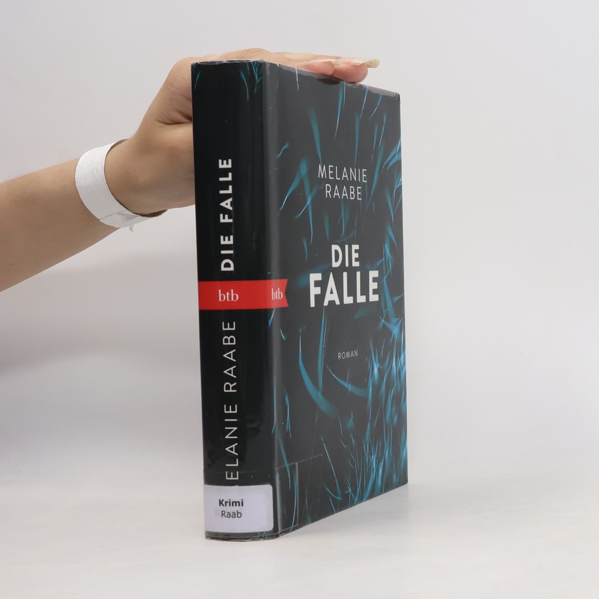 Melanie Raabe Die Falle