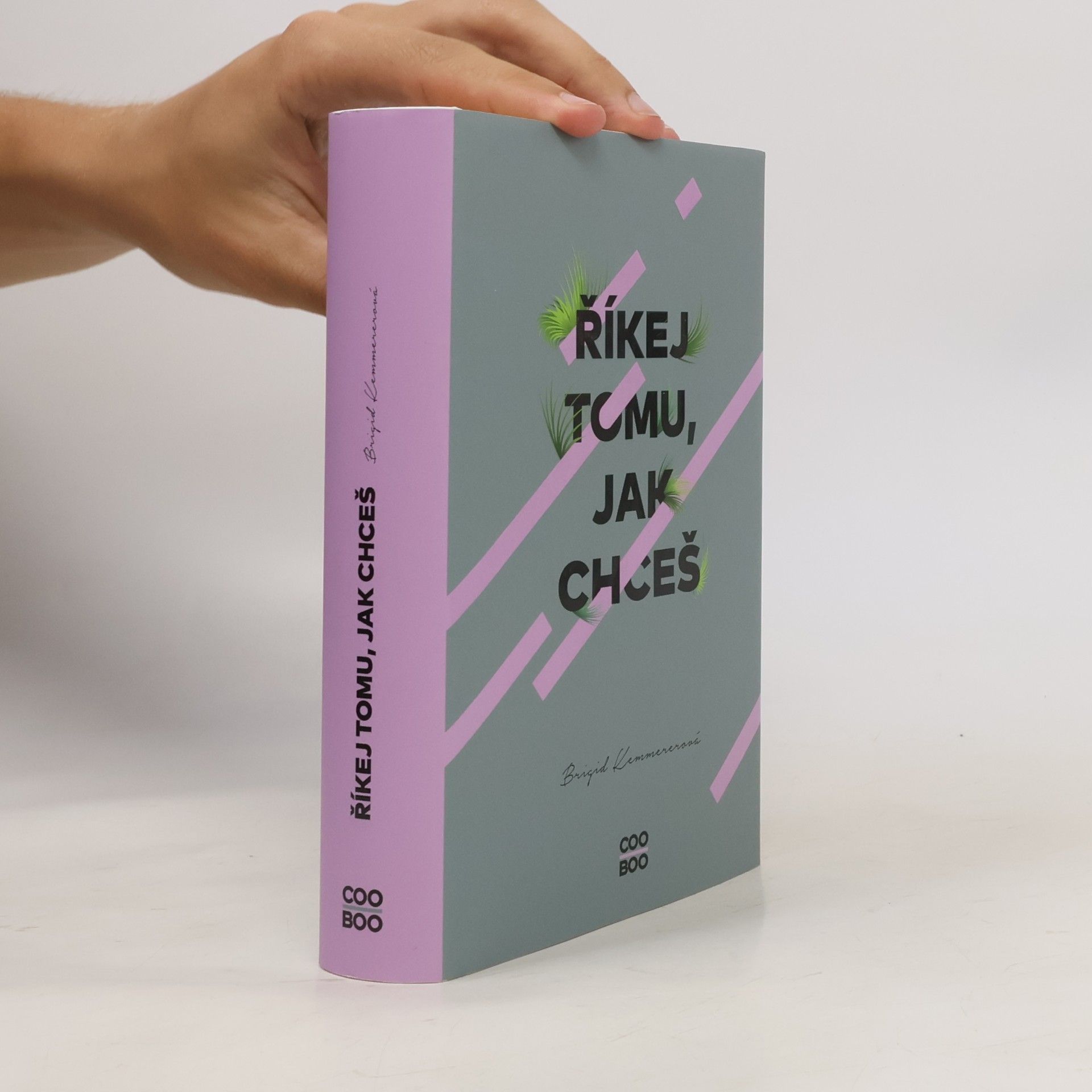 Brigid Kemmerer Říkej tomu, jak chceš