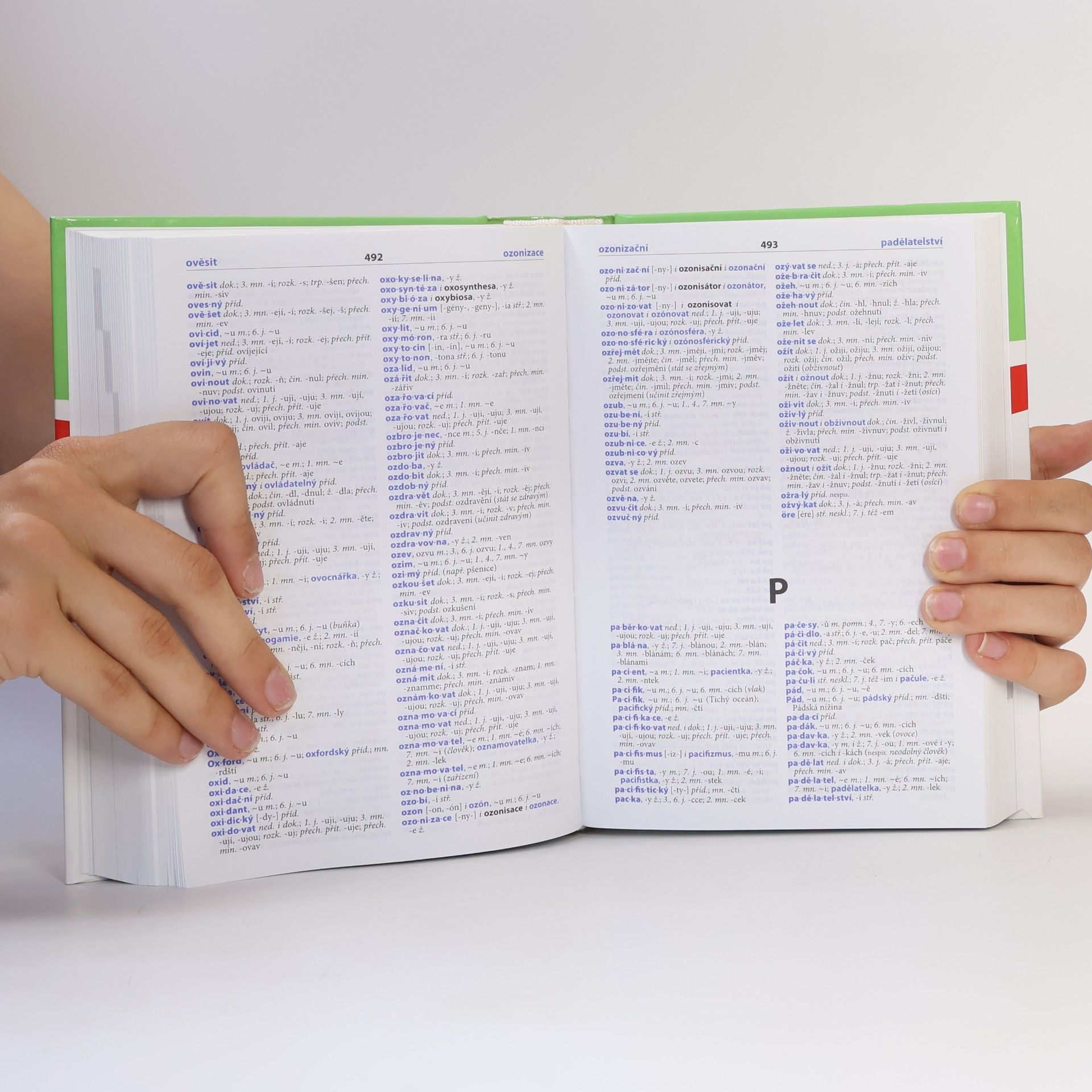 Autorenkollektiv Pravidla českého pravopisu