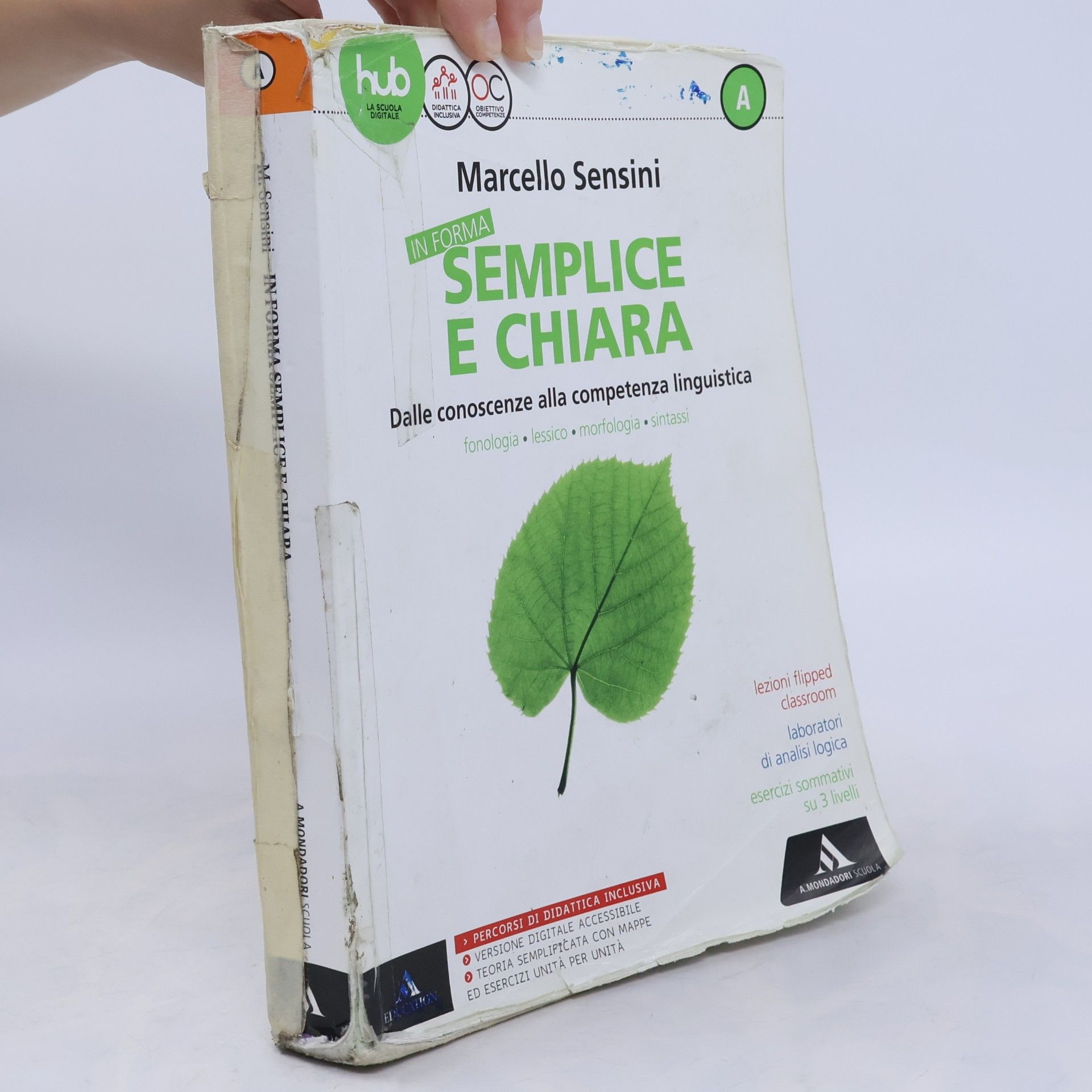 In forma semplice e chiara