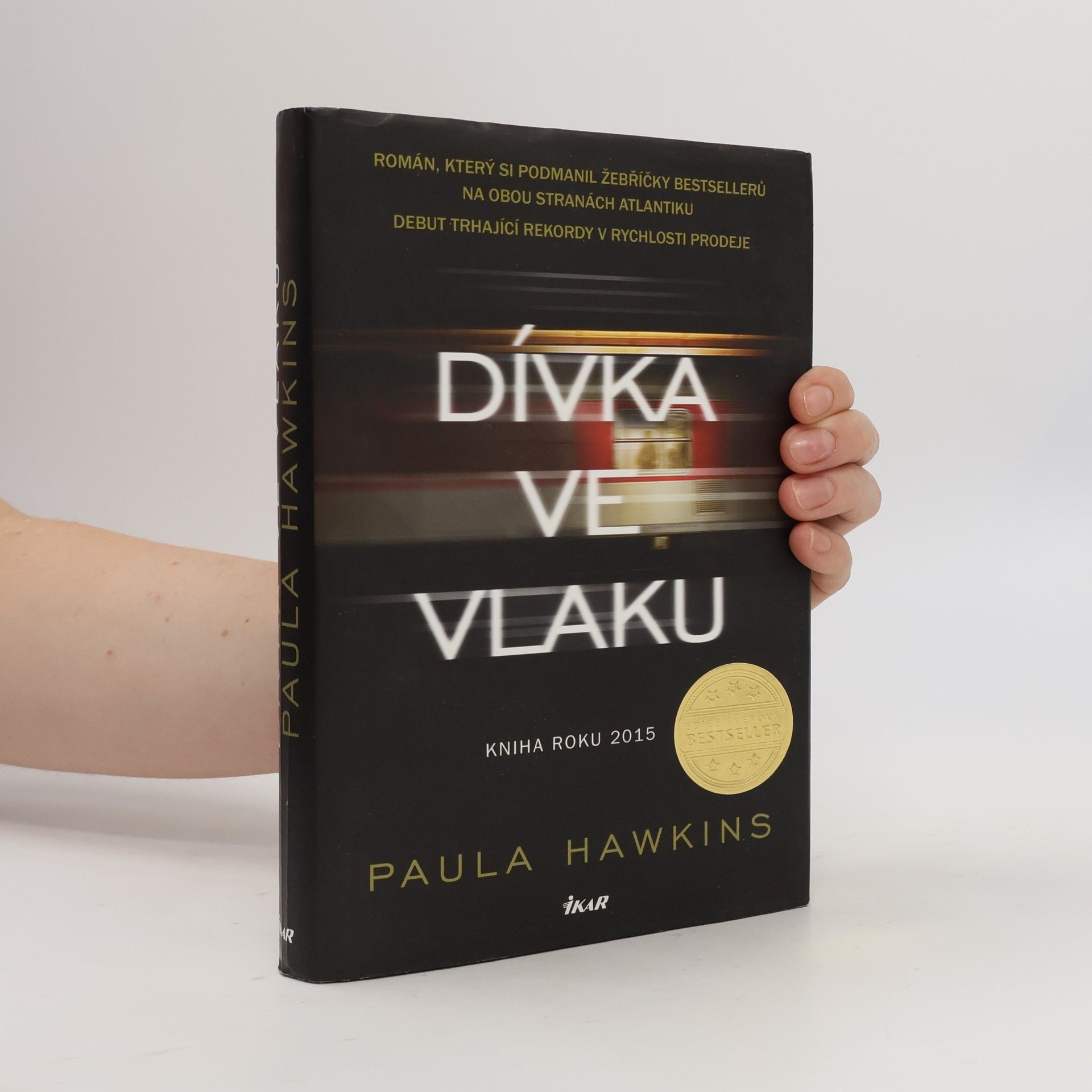 Dívka ve vlaku