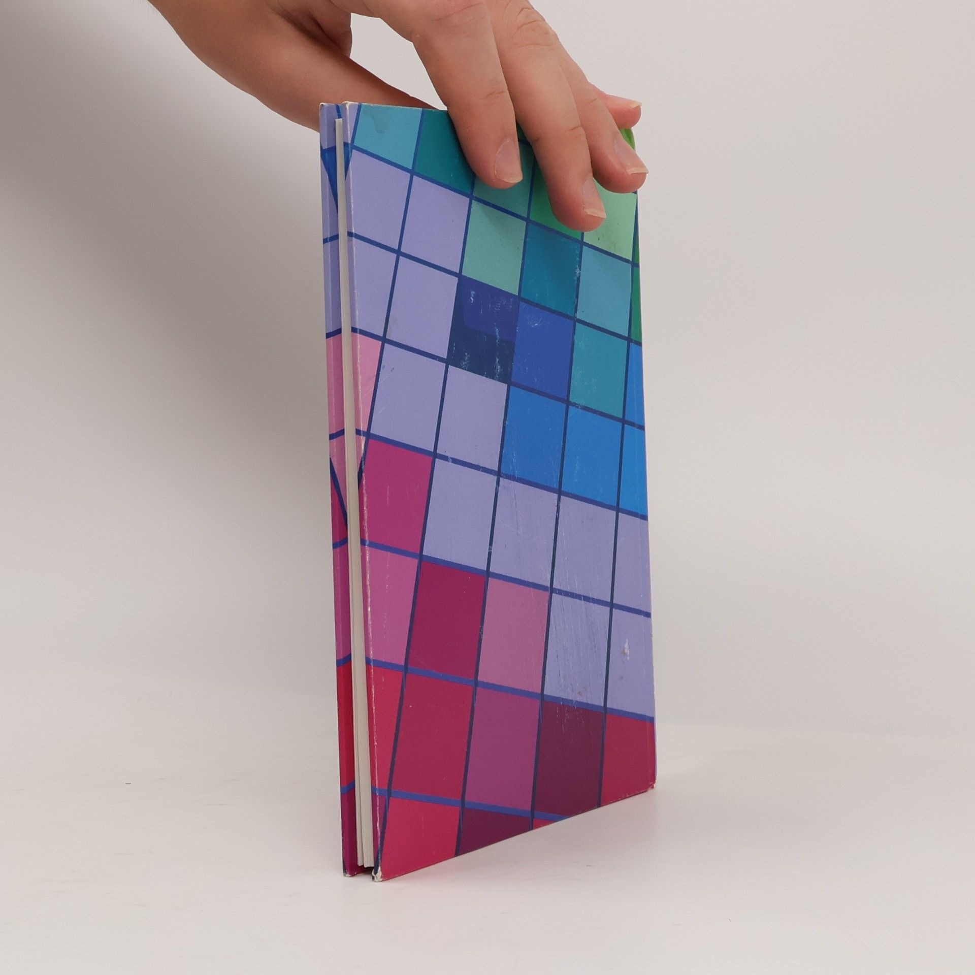 Pavel Kočička Color Management System