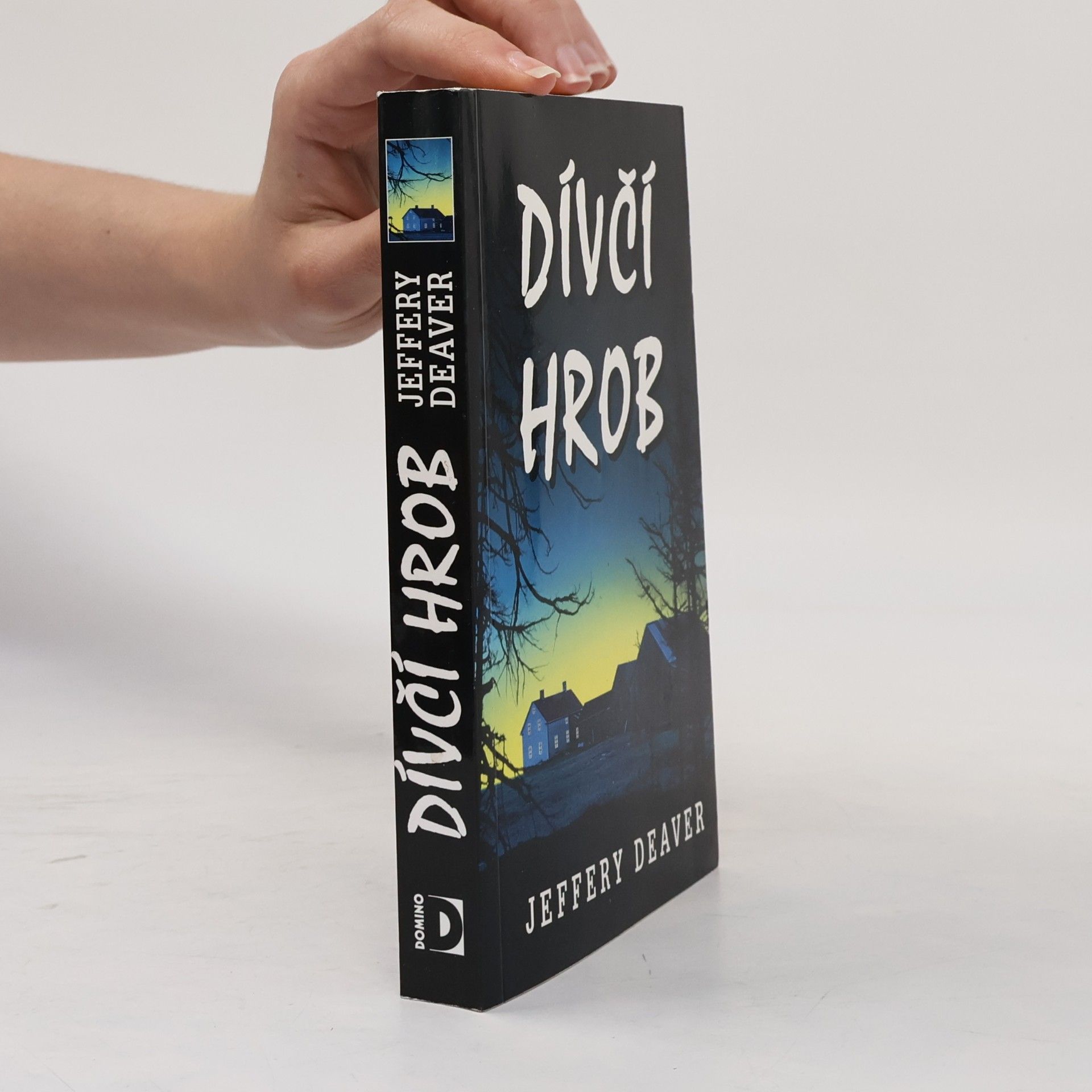 Jeffery Deaver Dívčí hrob