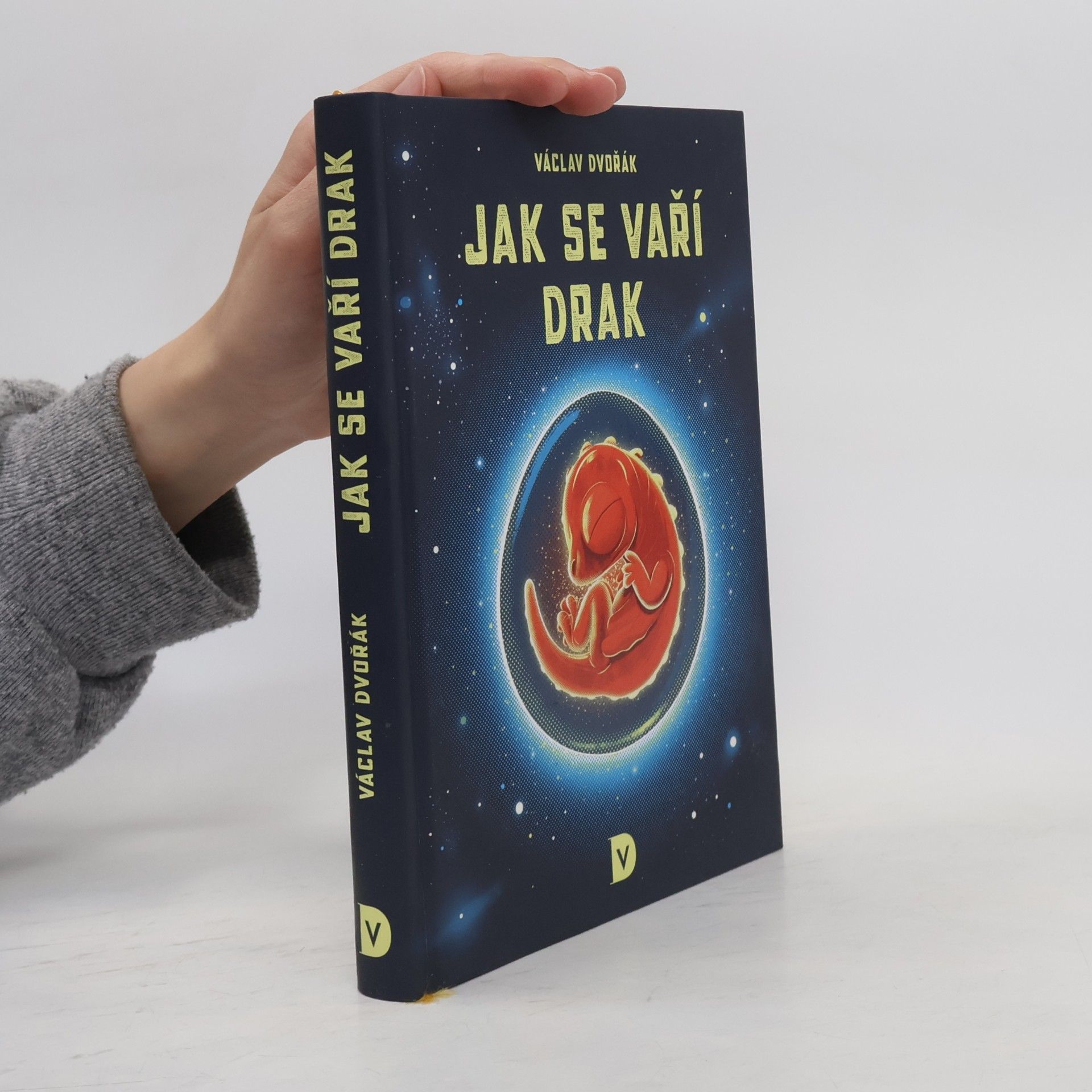 Václav Dvořák Jak se vaří drak