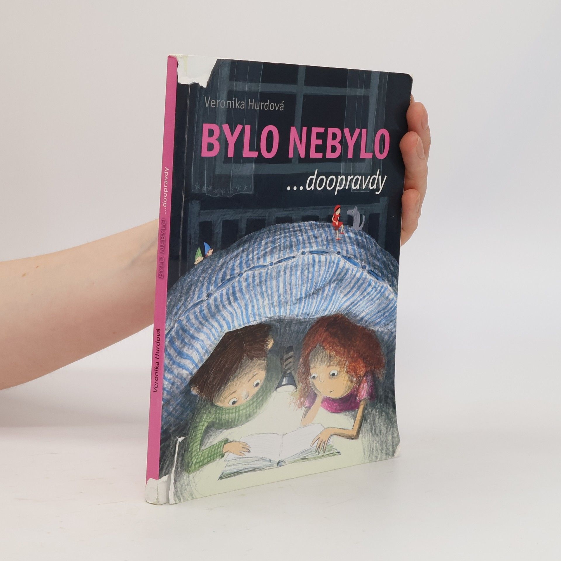 Veronika Hurdová Bylo nebylo ...doopravdy