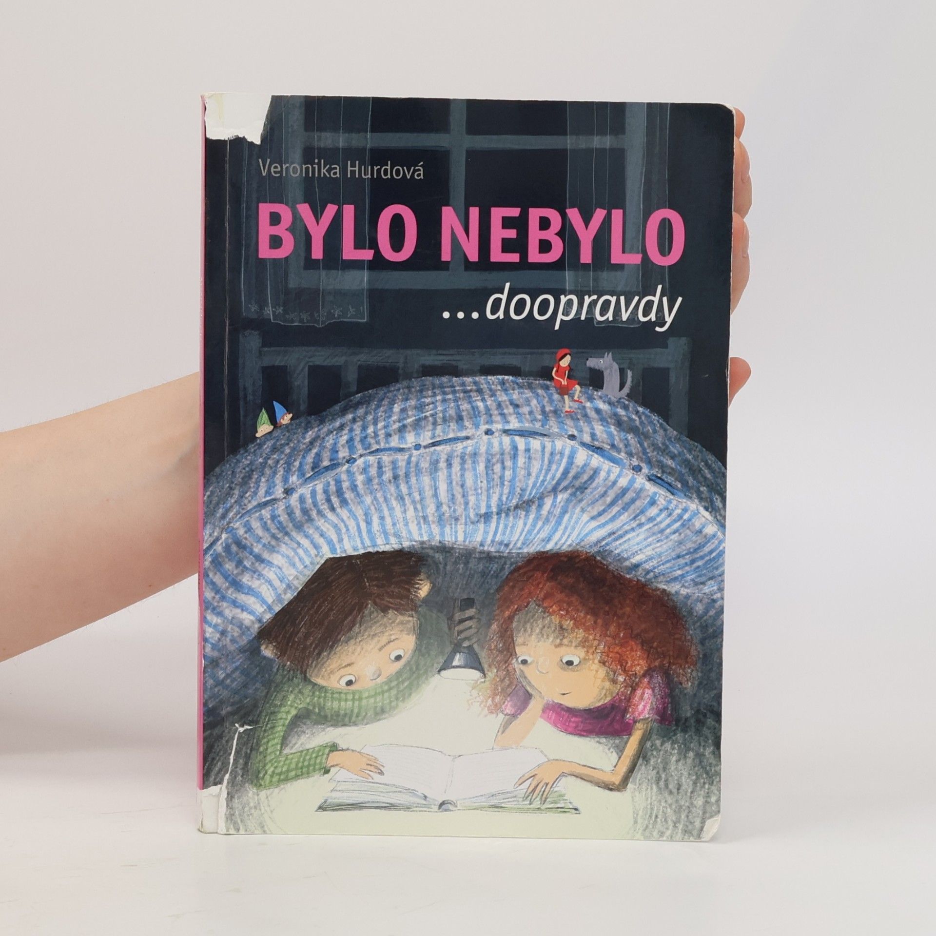 Veronika Hurdová Bylo nebylo ...doopravdy