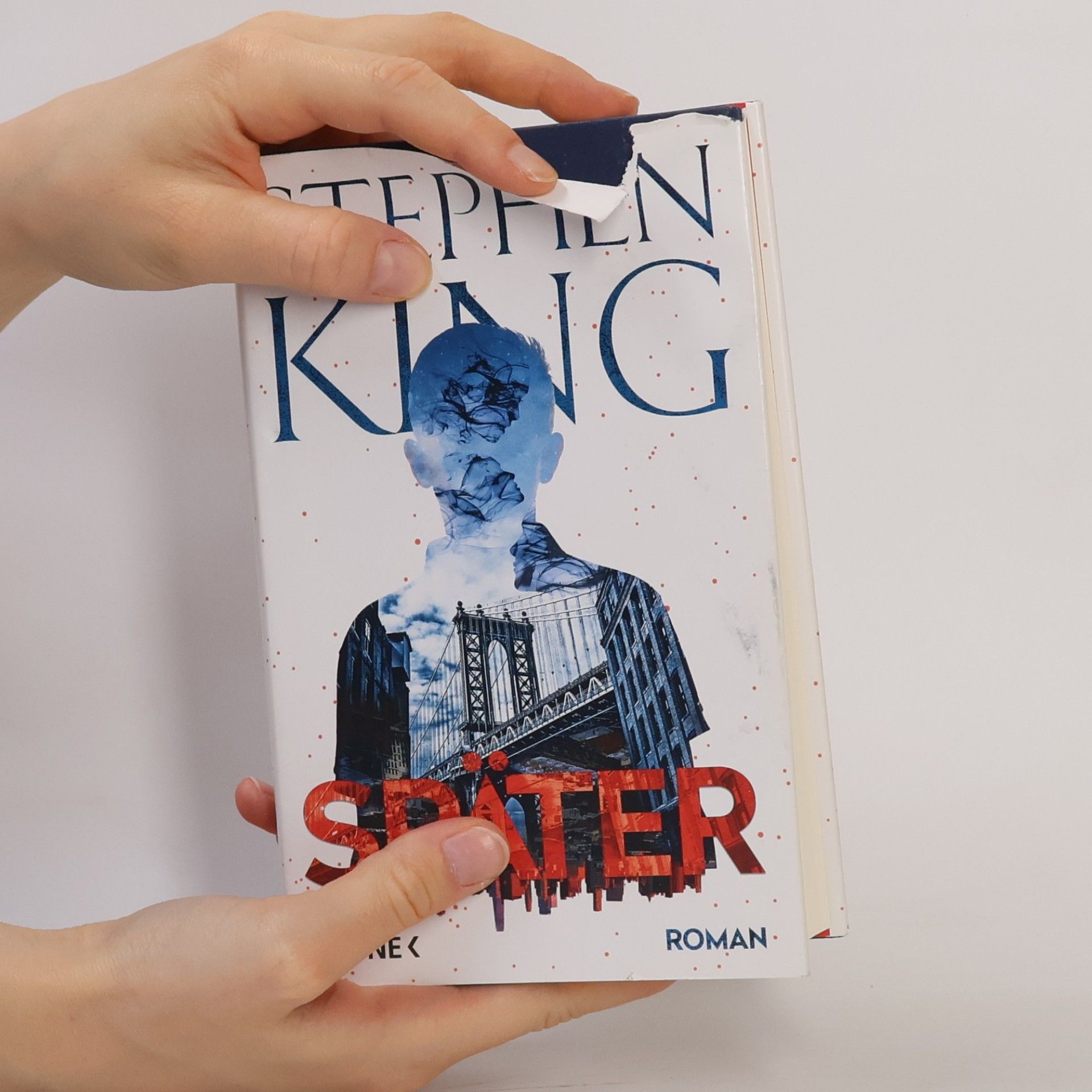 Stephen King Später