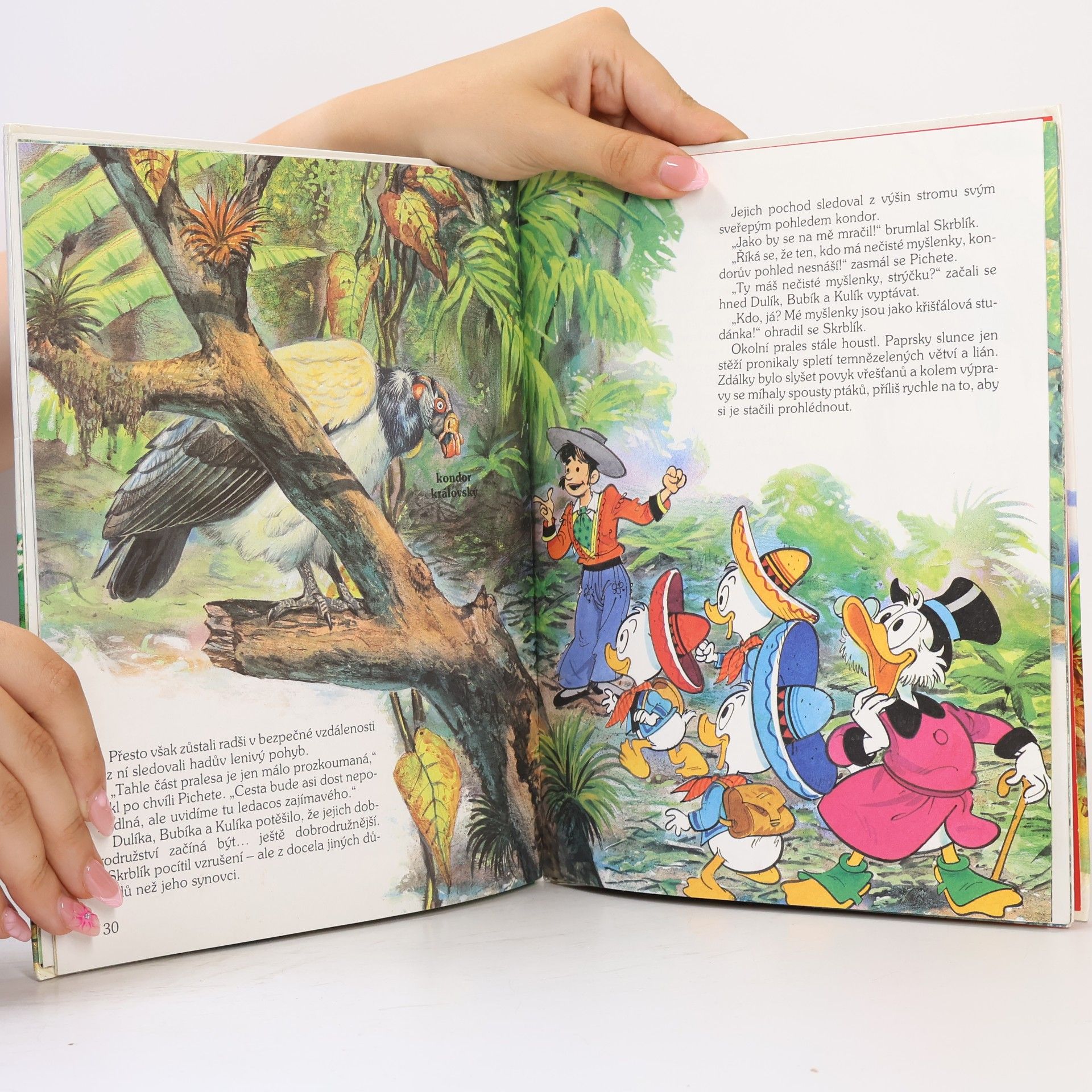 Walt Disney Za tajemstvím pralesa