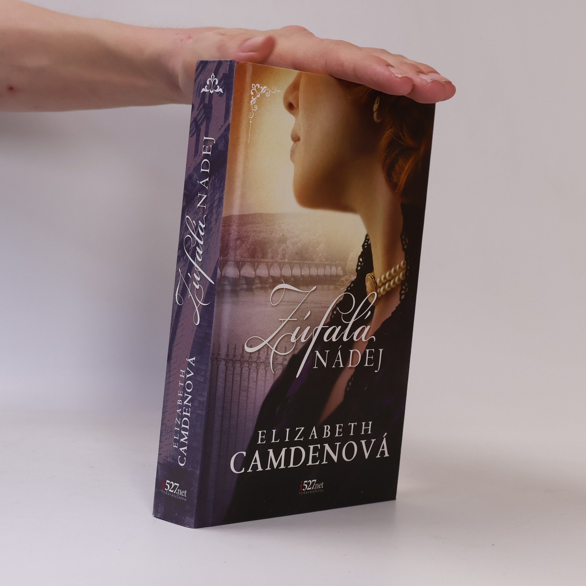 Elizabeth Camden Zúfalá nádej