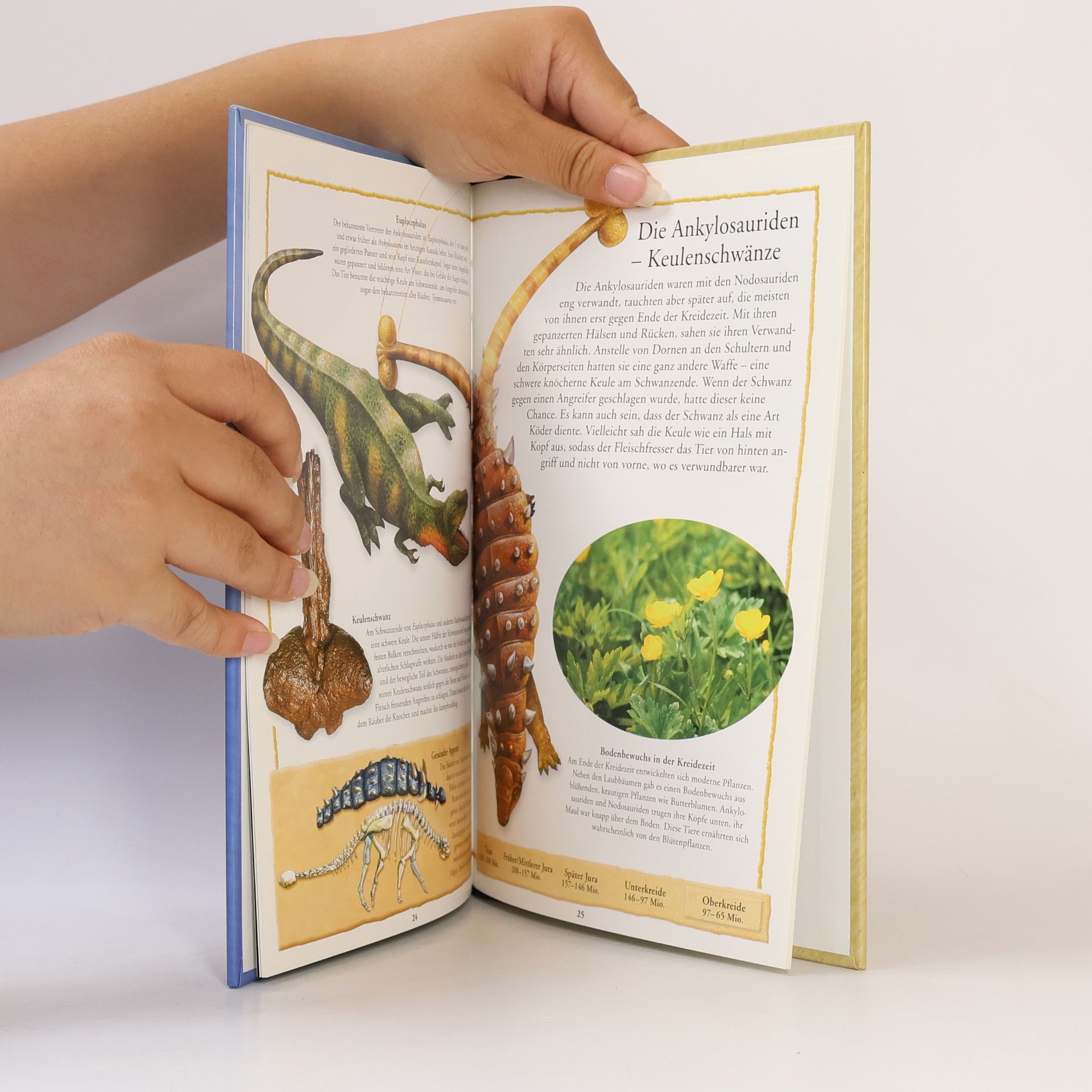 Various authors Dinosaurier Pflanzenfresser