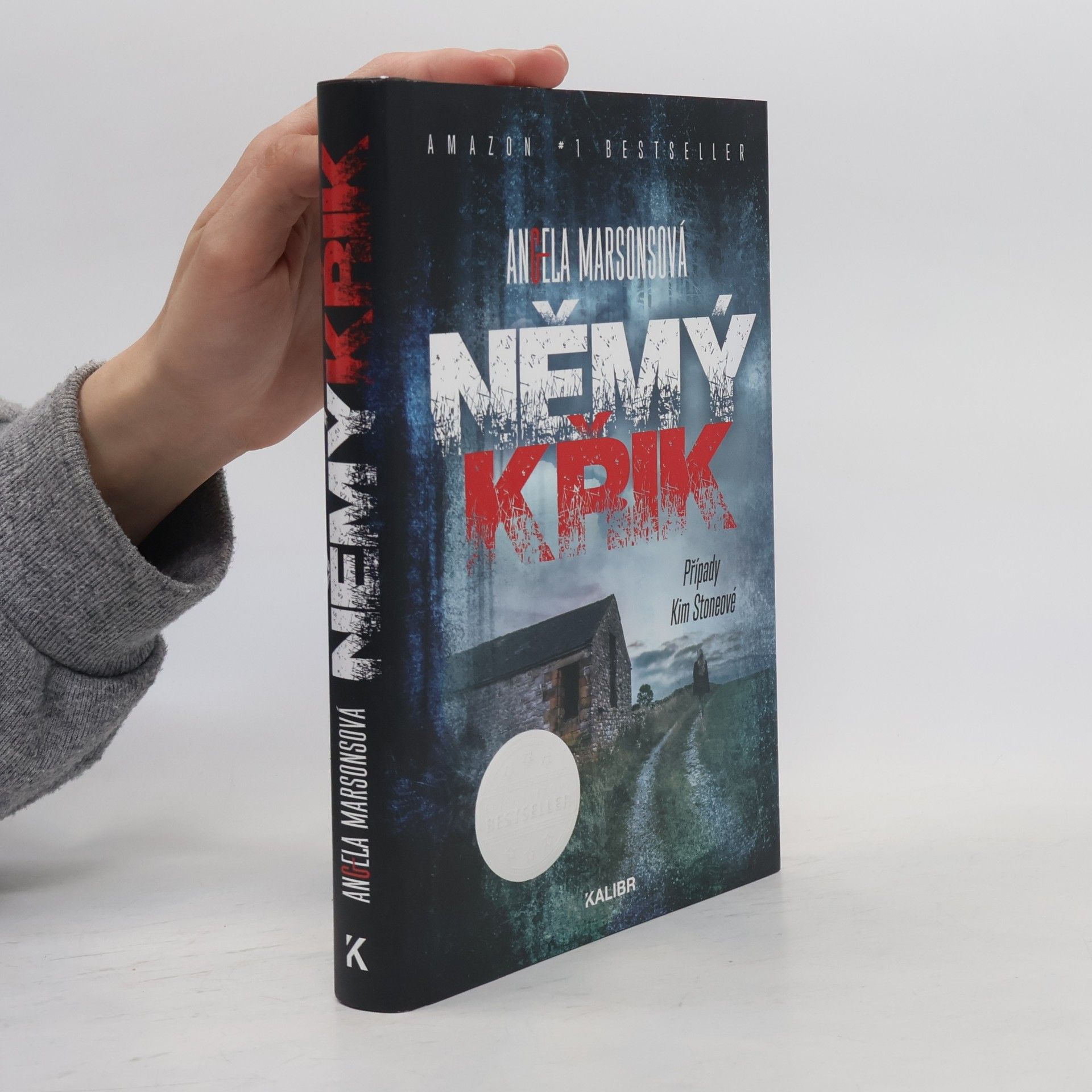 Angela Marsons Němý křik