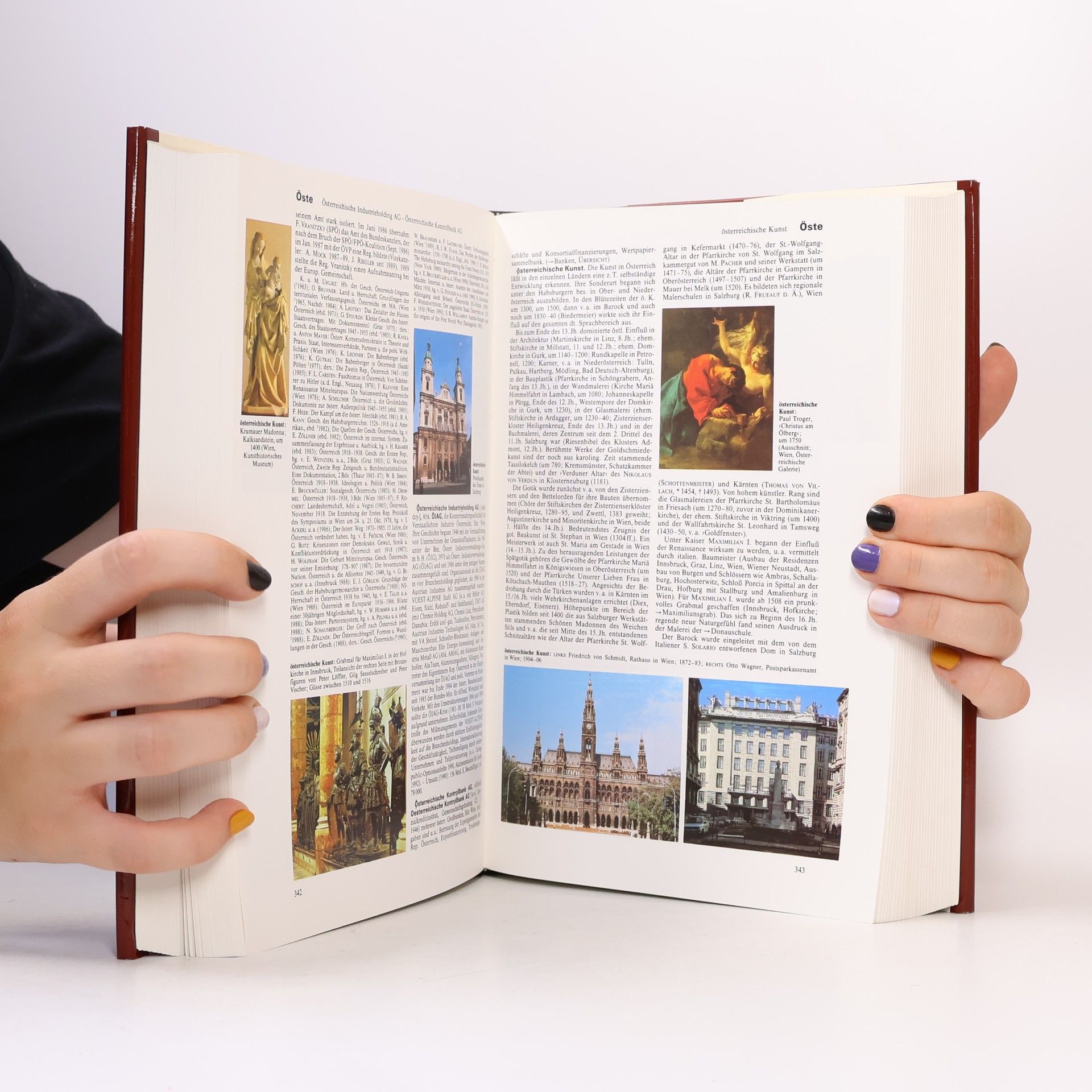 Autorenkollektiv Brockhaus Enzyklopädie 16 (NOS-PER)