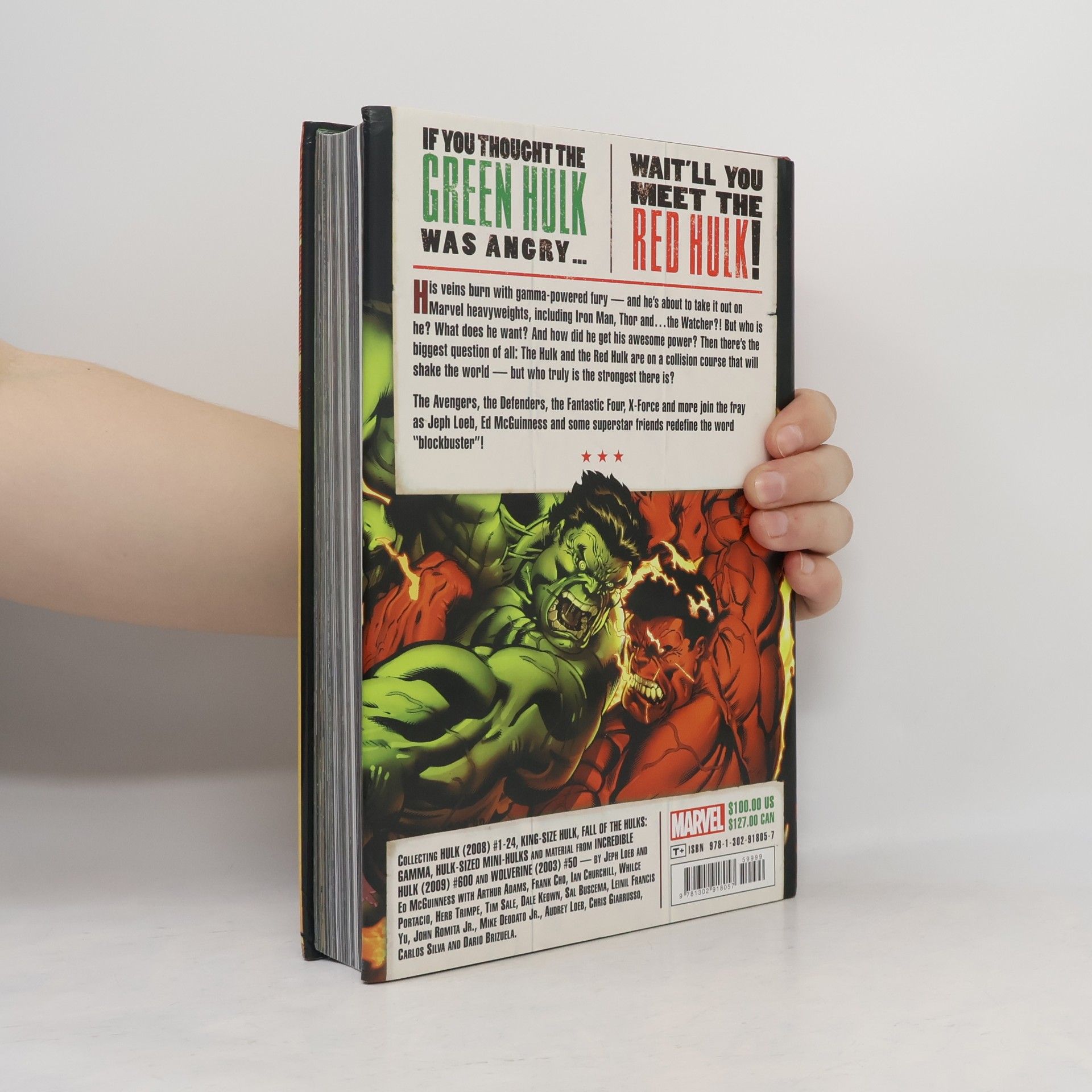 Various authors Hulk by Loeb & McGuinness Omnibus