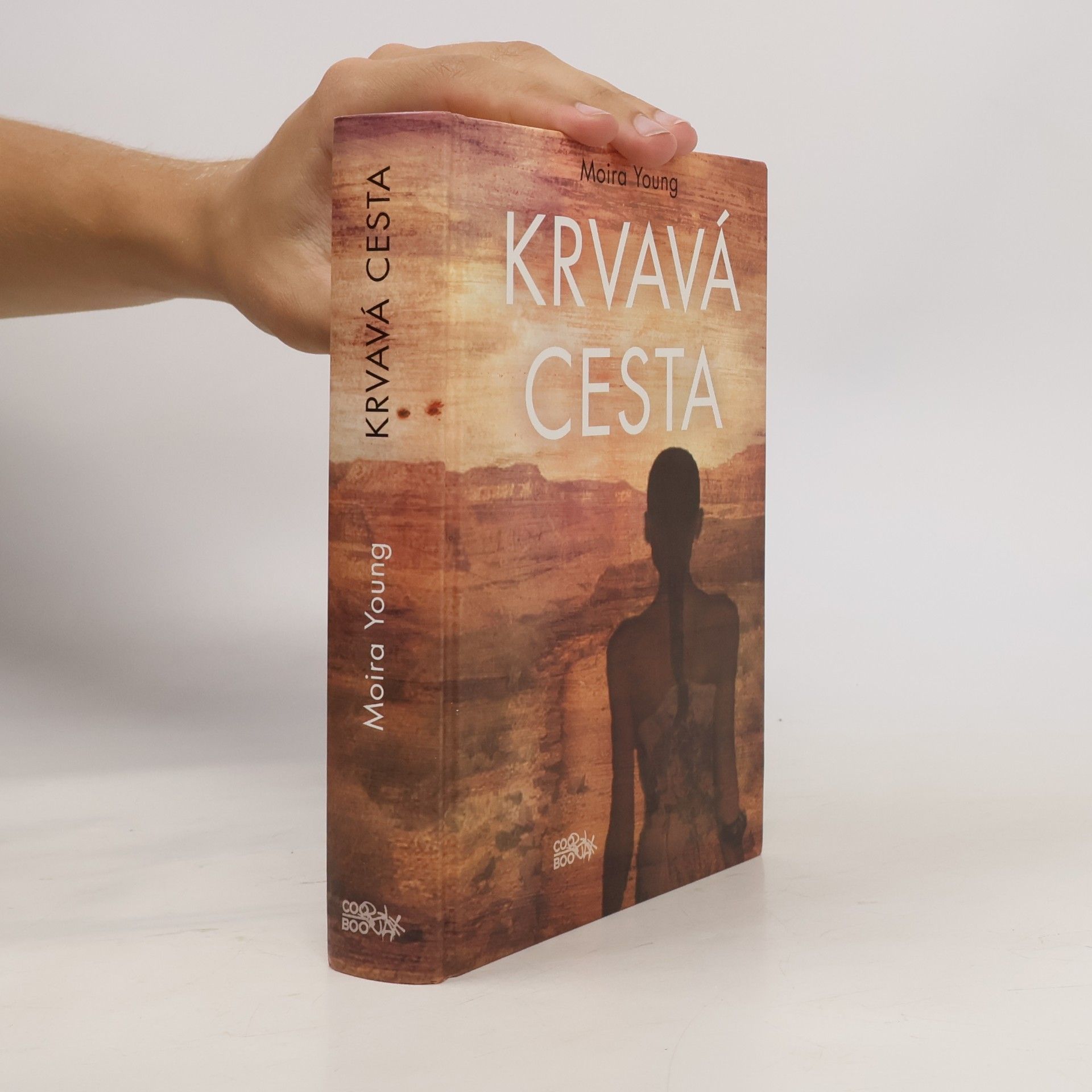 Moira Young Krvavá cesta