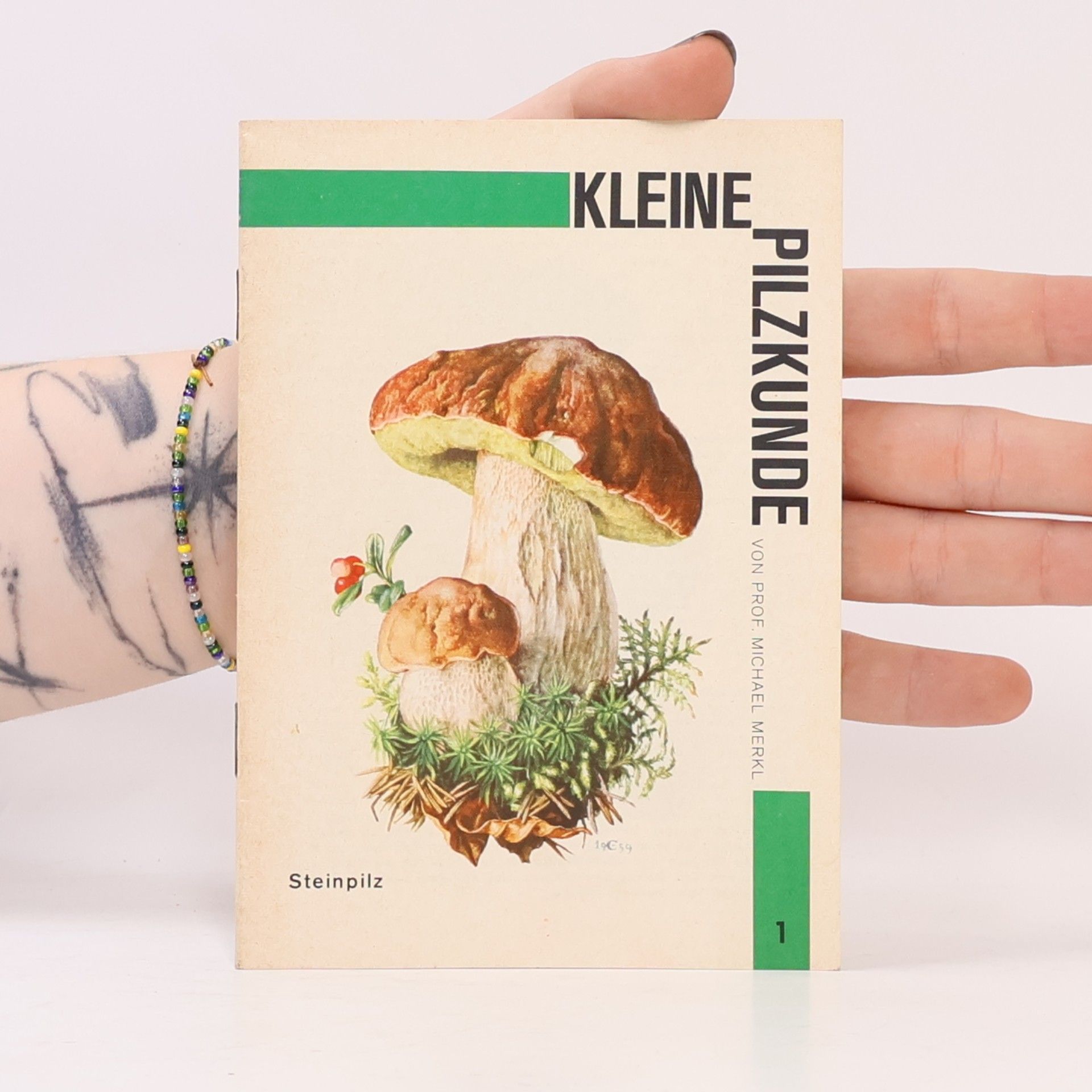 Michael Merkl Kleine Pilzkunde