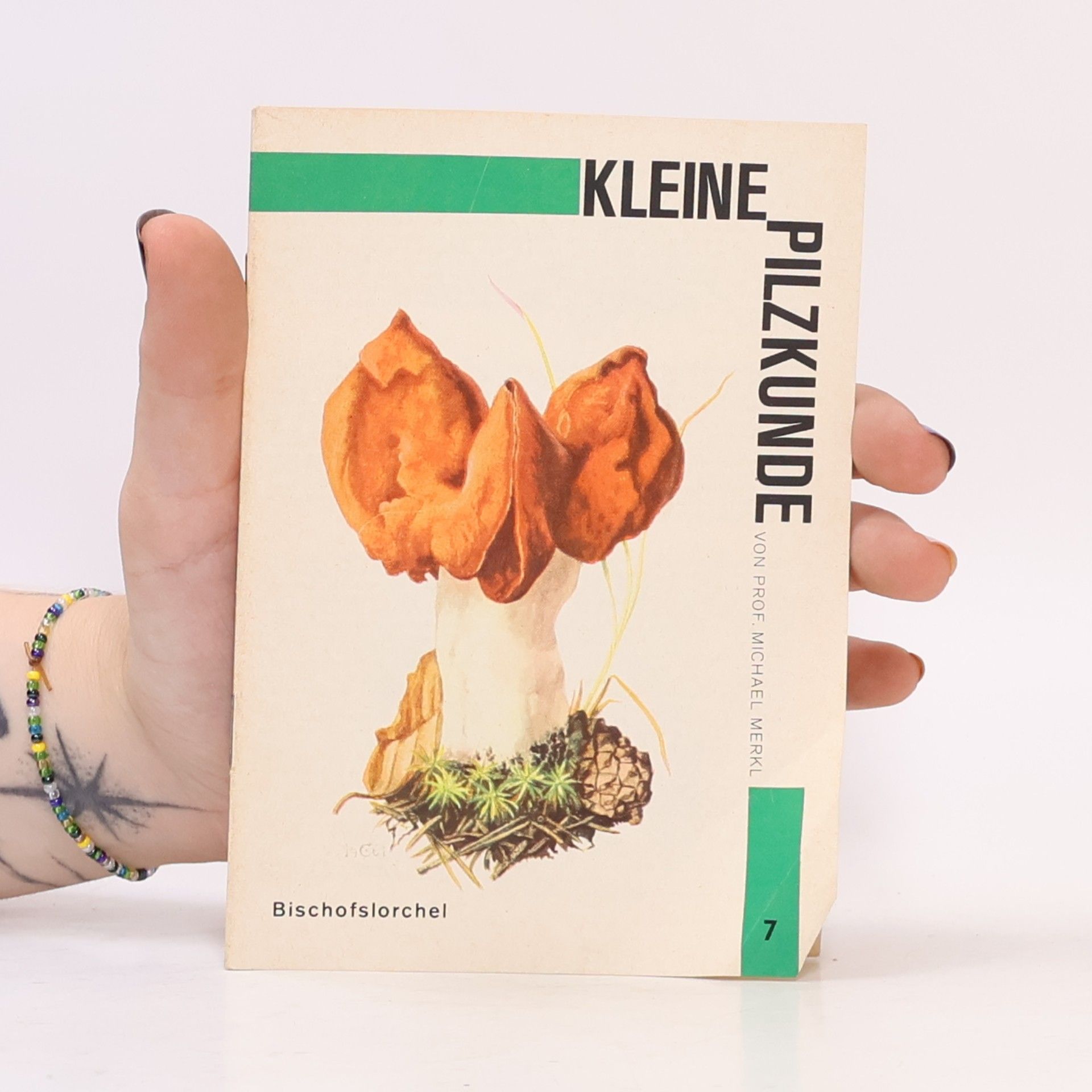 Autorenkollektiv Kleine Pilzkunde. Heft 7