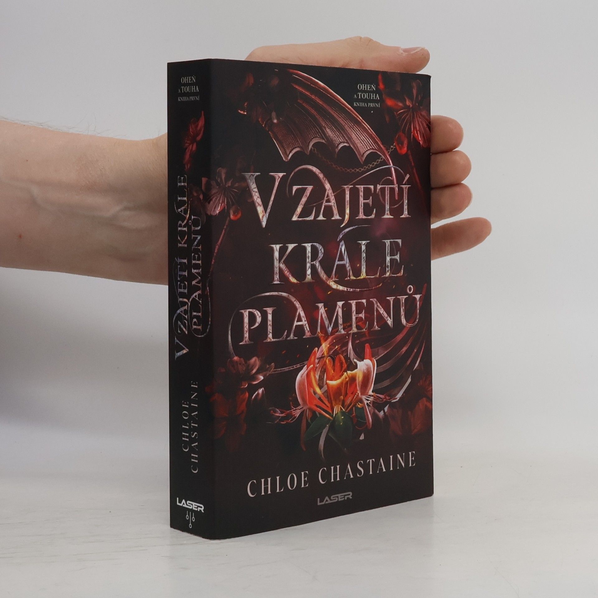 Chloe Chastaine V zajetí krále plamenů