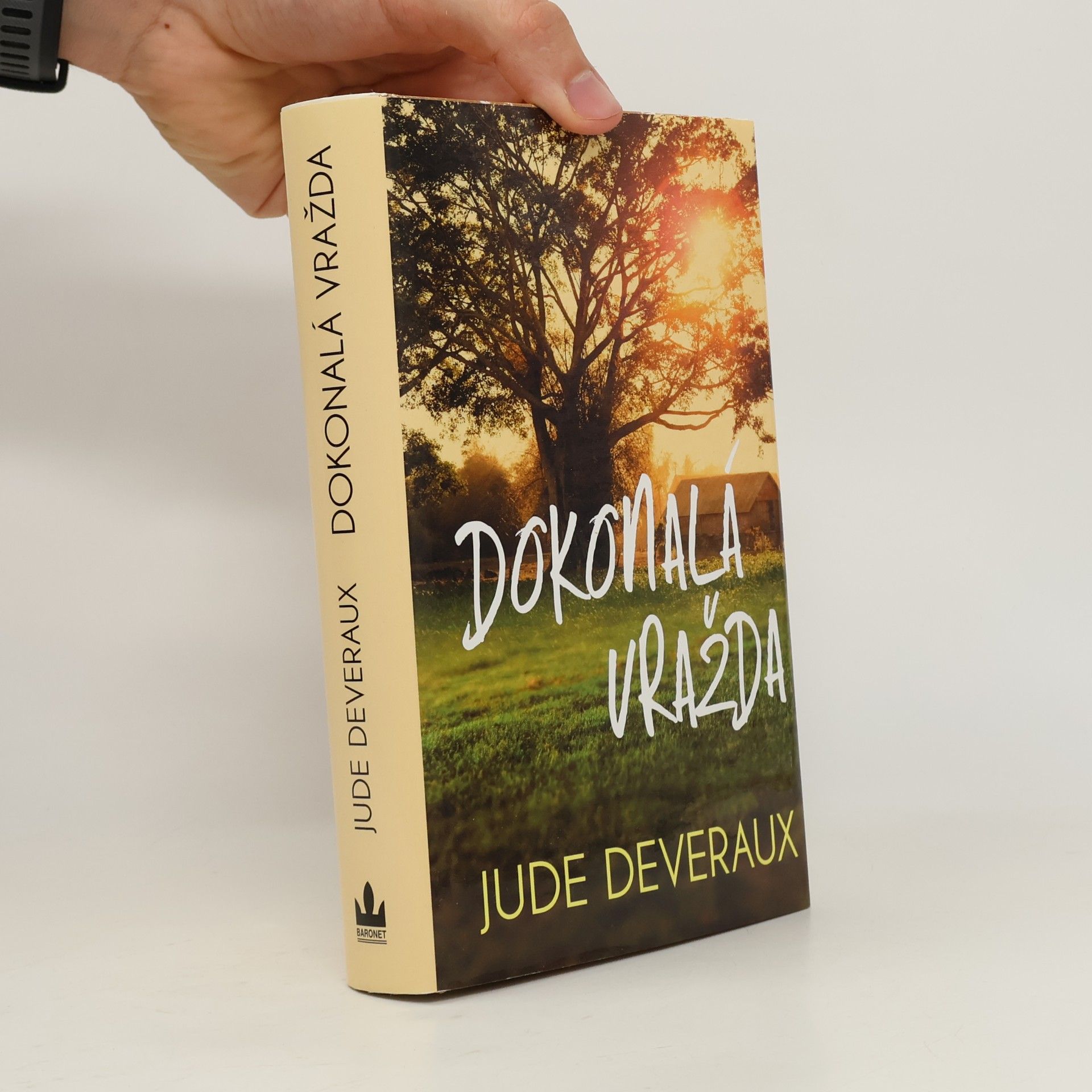Jude Deveraux Dokonalá vražda