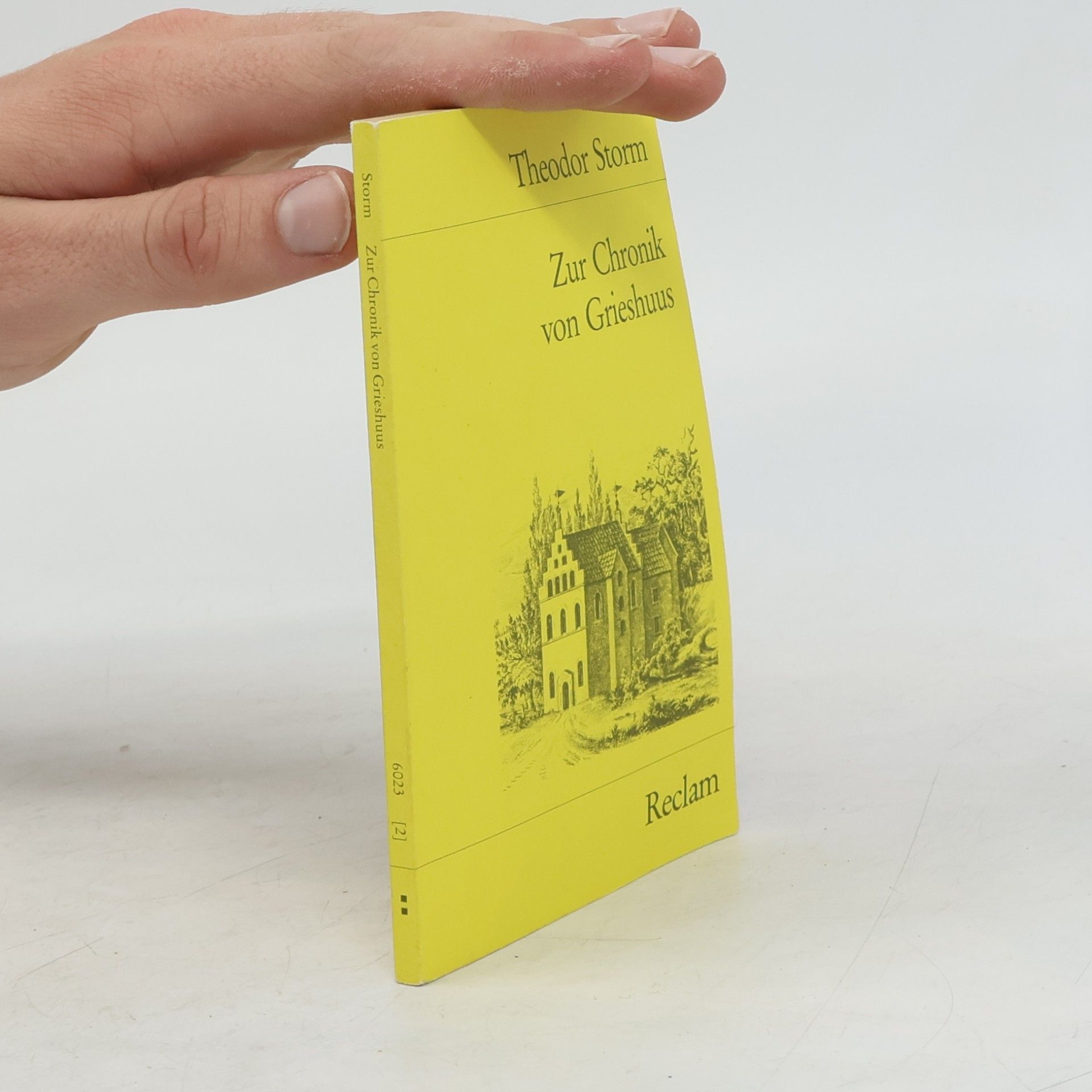 Theodor Storm Reclams Universal-Bibliothek - 2: Zur Chronik von Grieshuus