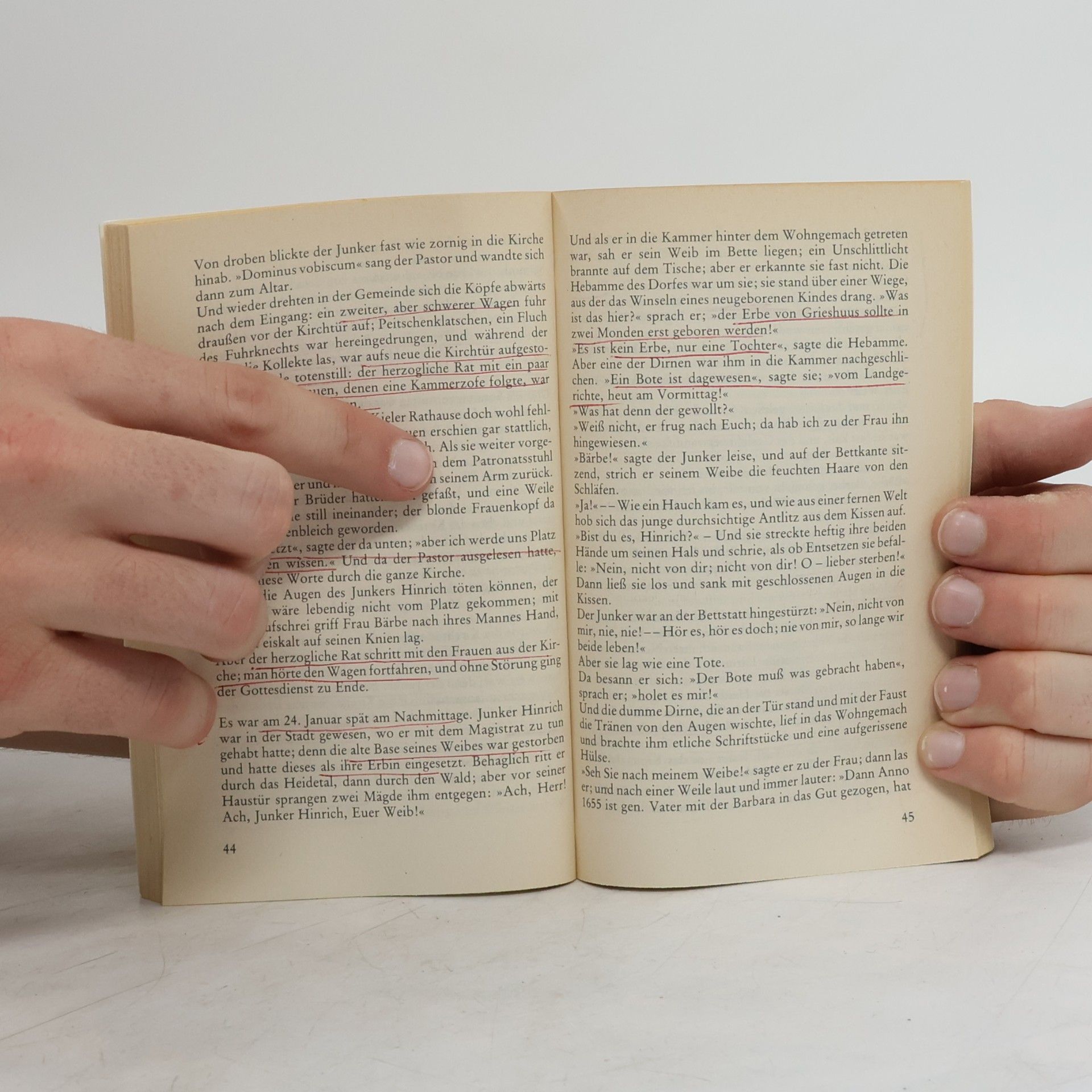 Theodor Storm Reclams Universal-Bibliothek - 2: Zur Chronik von Grieshuus