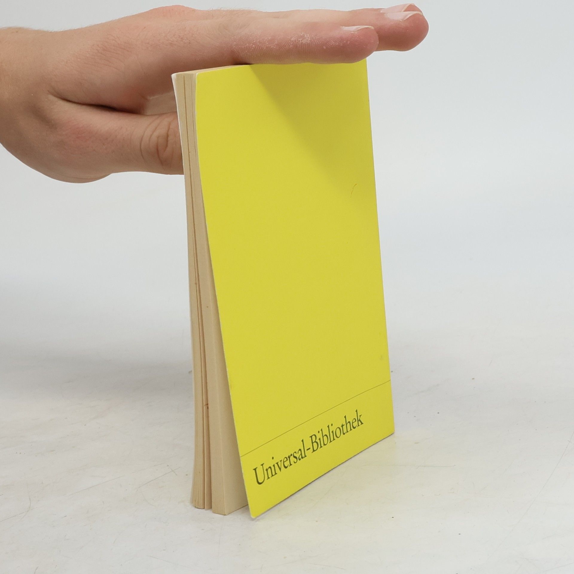 Theodor Storm Reclams Universal-Bibliothek - 2: Zur Chronik von Grieshuus