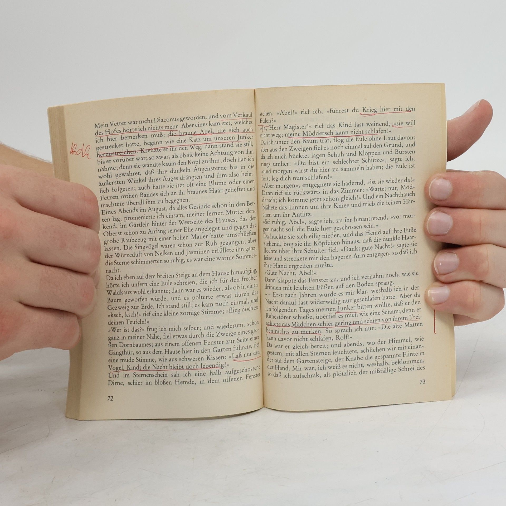 Theodor Storm Reclams Universal-Bibliothek - 2: Zur Chronik von Grieshuus