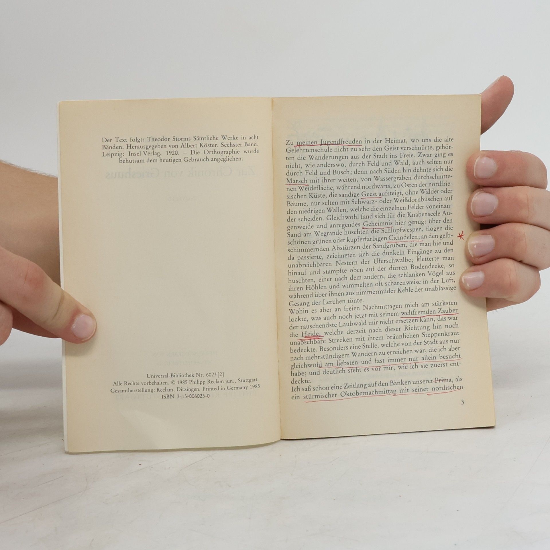 Theodor Storm Reclams Universal-Bibliothek - 2: Zur Chronik von Grieshuus