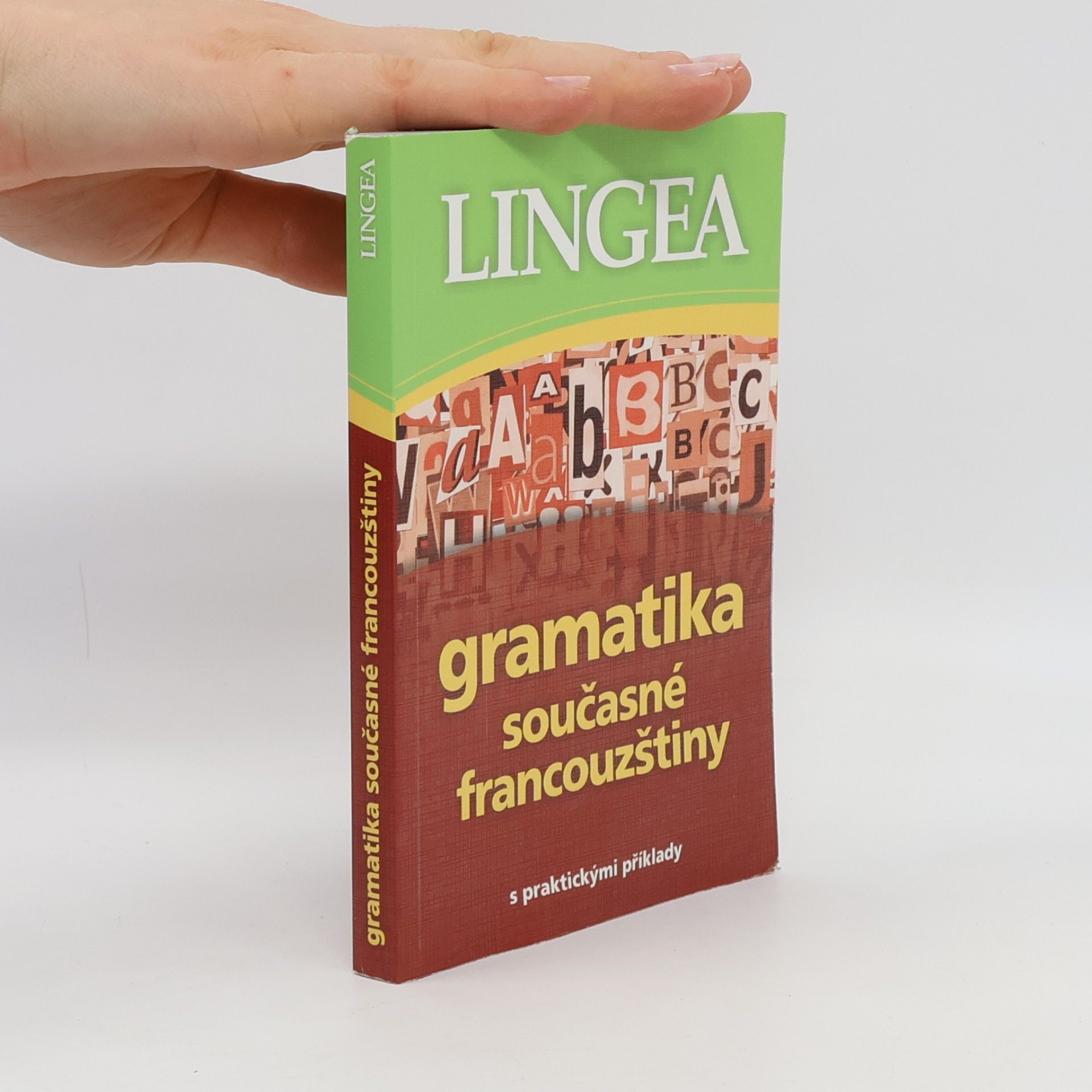 Autorenkollektiv Gramatika současné francouzštiny