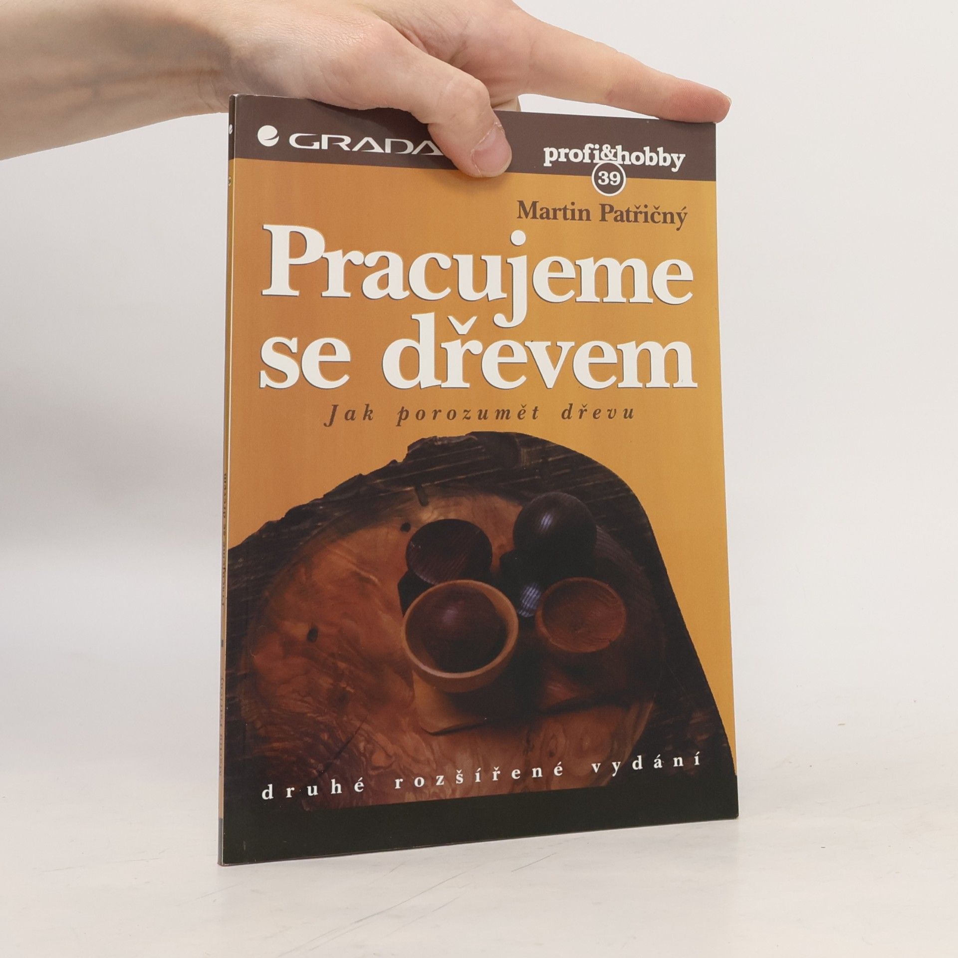Martin Patřičný Pracujeme se dřevem – jak porozumět dřevu