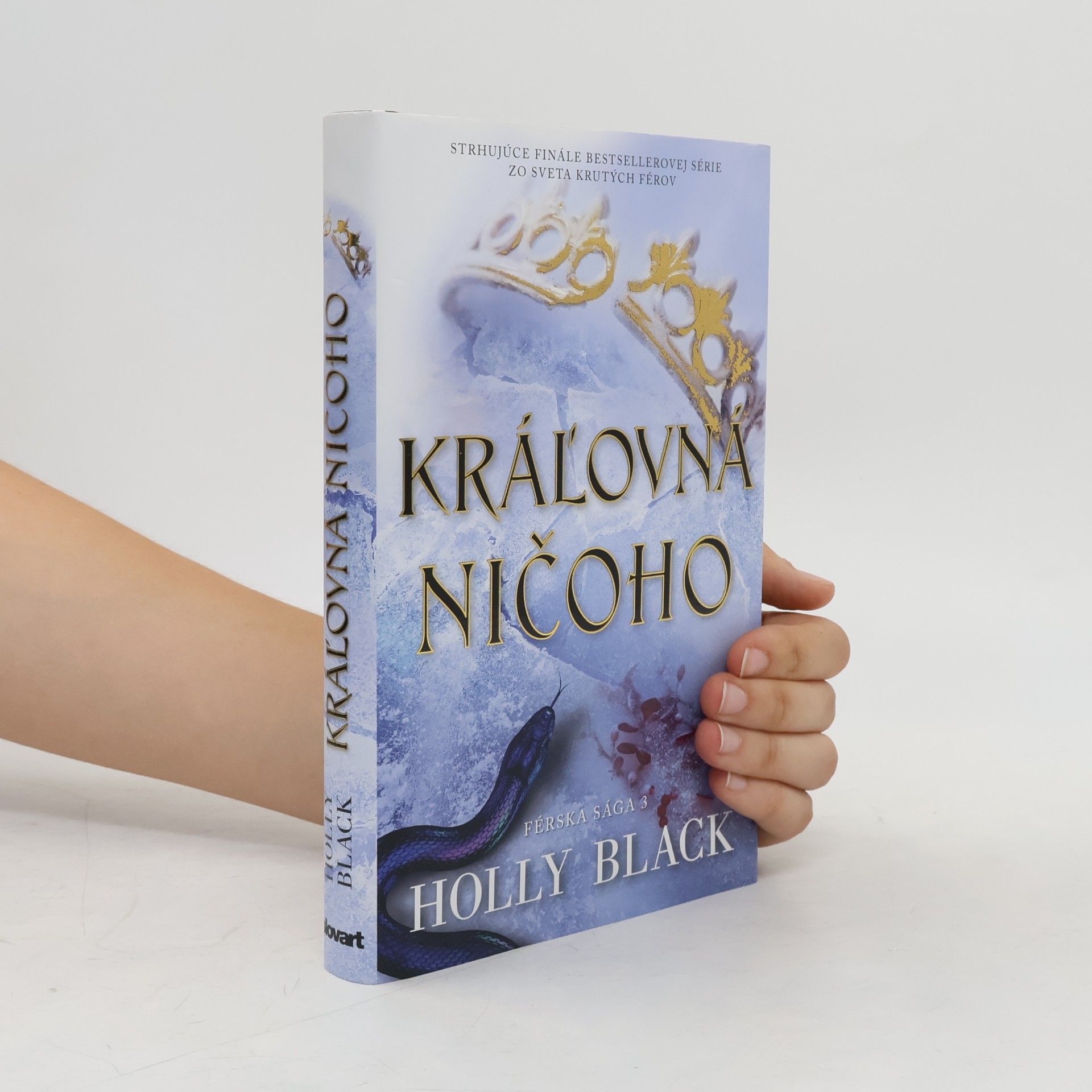 Holly Black Kráľovná ničoho