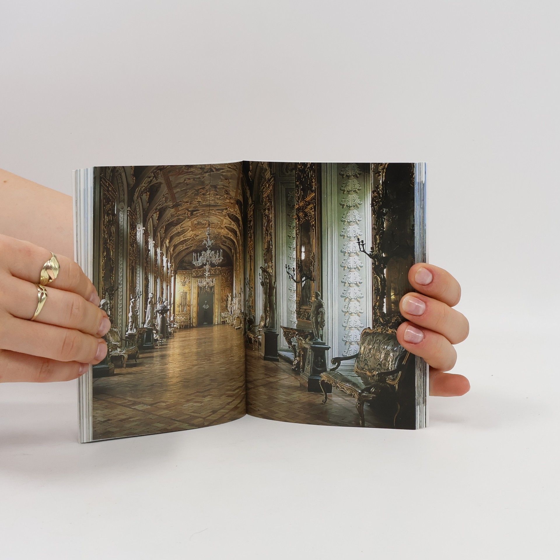 Caroline Vincenti Montanaro I Piccoli di Arsenale: Palazzi e ville di Roma