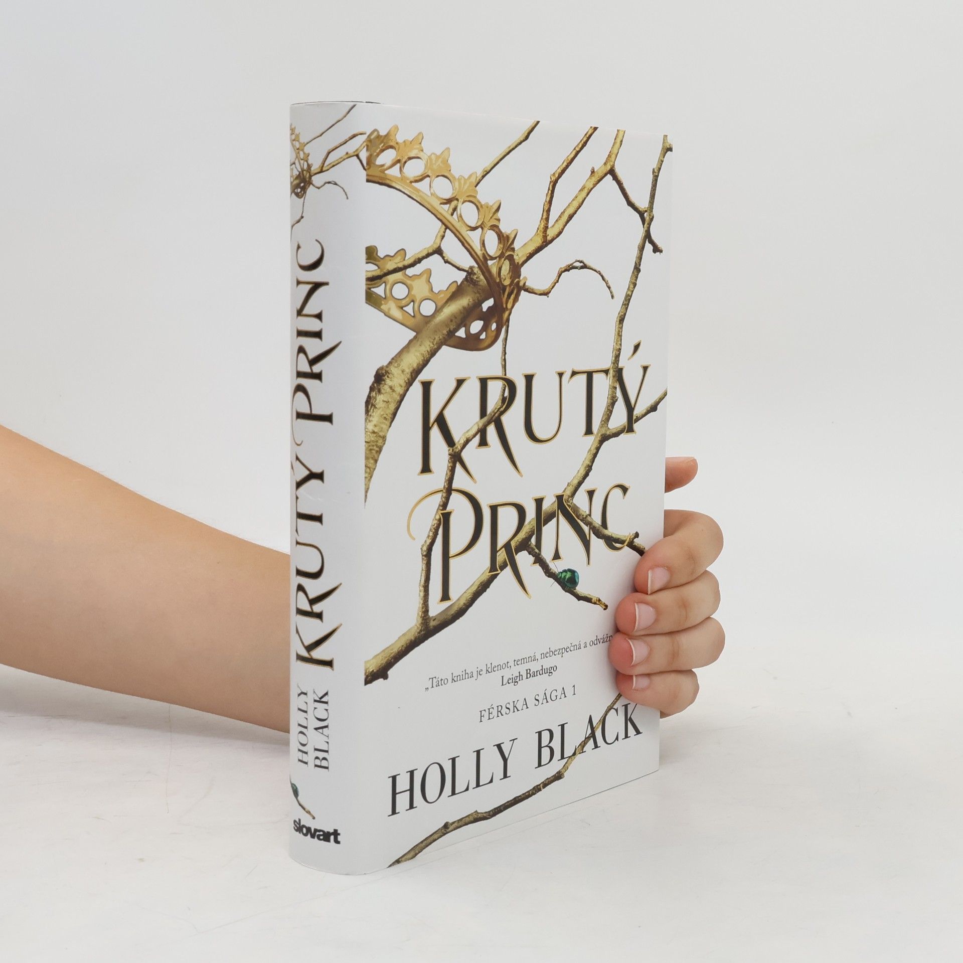 Holly Black Krutý princ