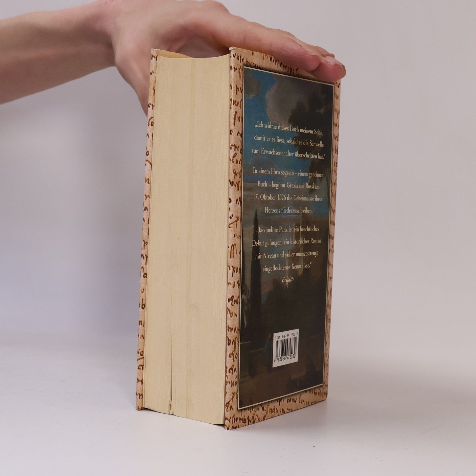 Jacqueline Park Das geheime Buch der Grazia dei Rossi