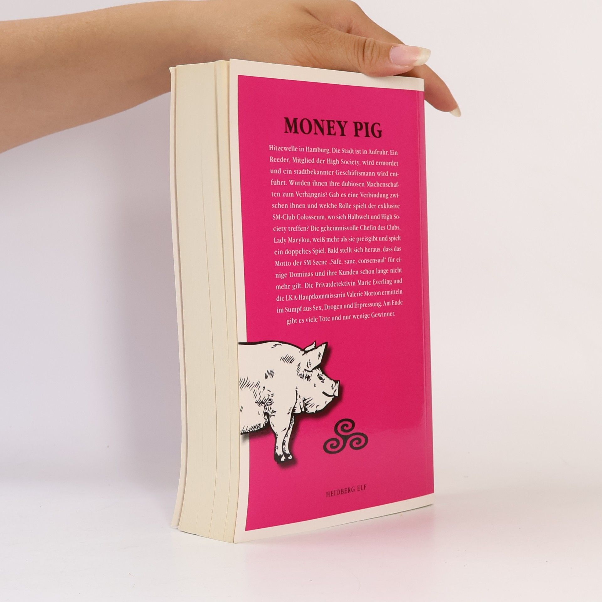 Andrea Hessler Money pig
