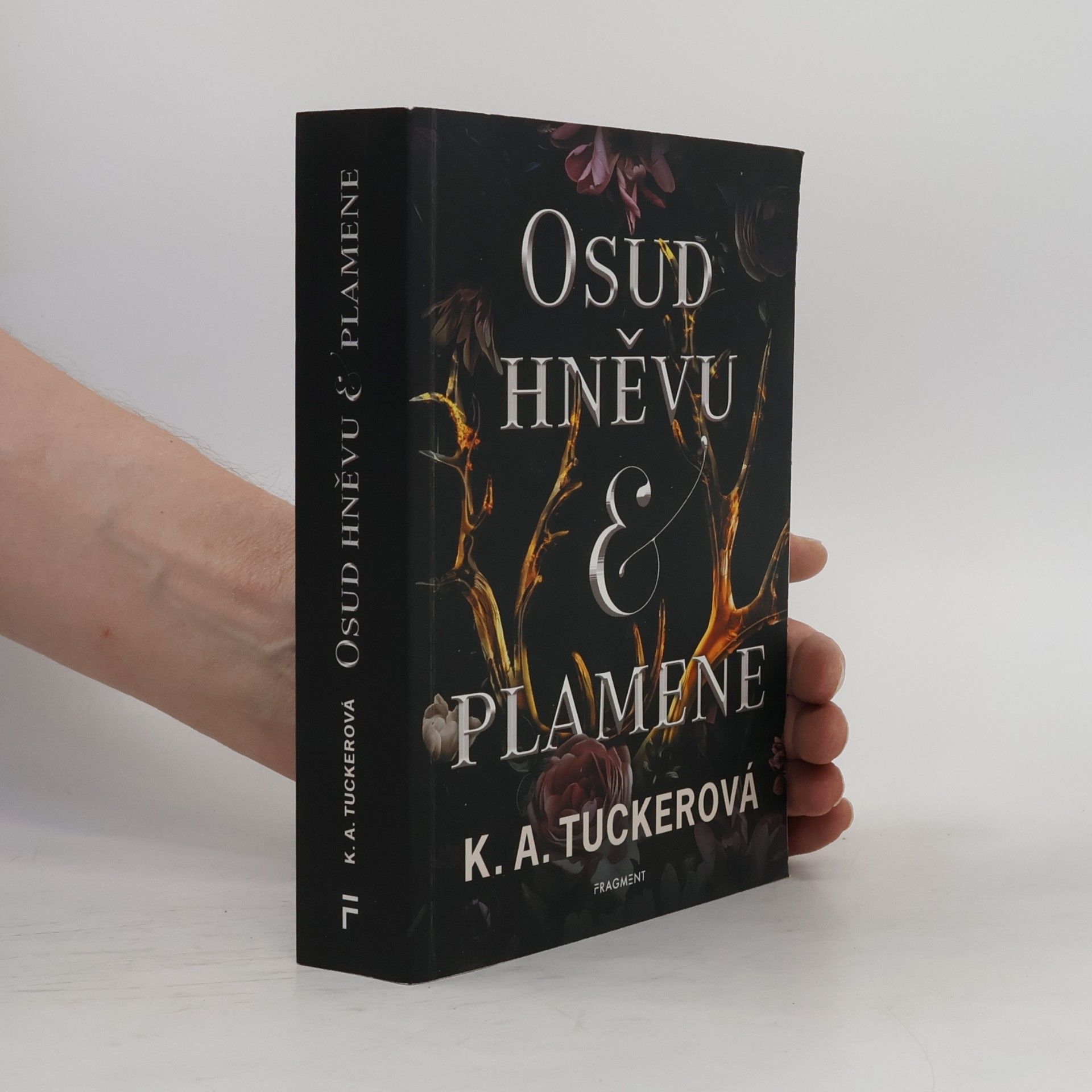 Kathleen A. Tucker Osud hněvu & plamene