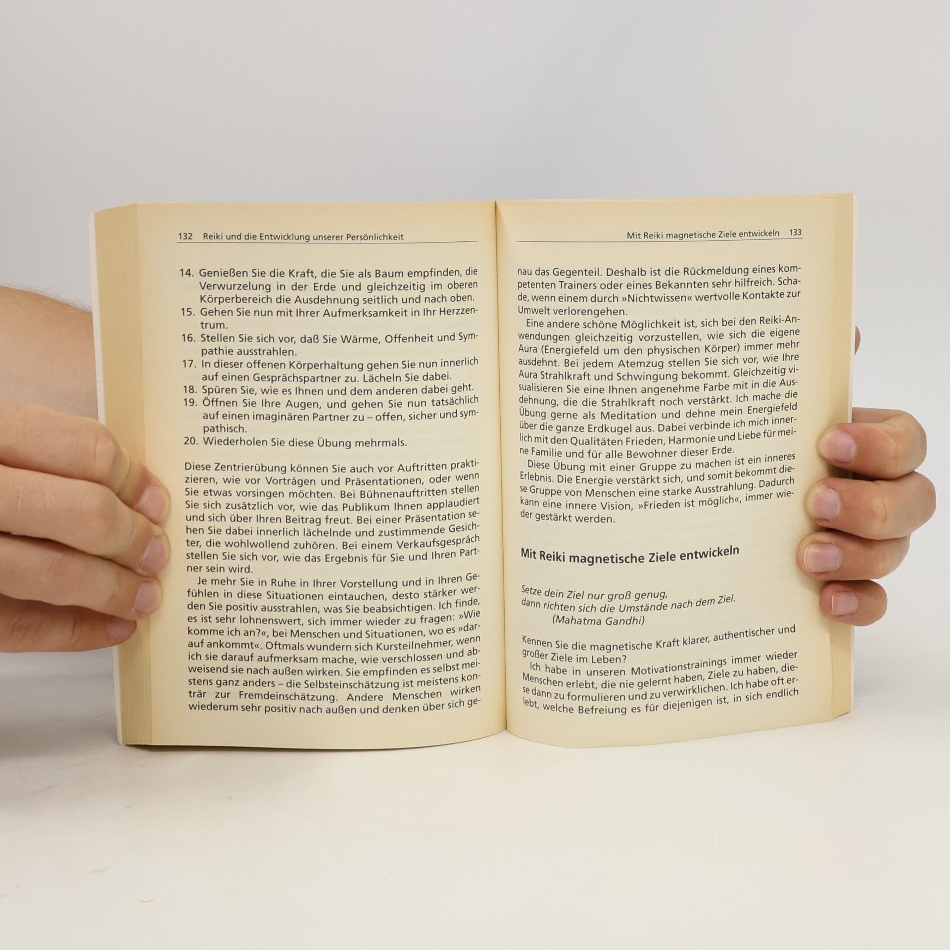 Ulrike M. Klemm Reiki. Das Handbuch für die Praxis