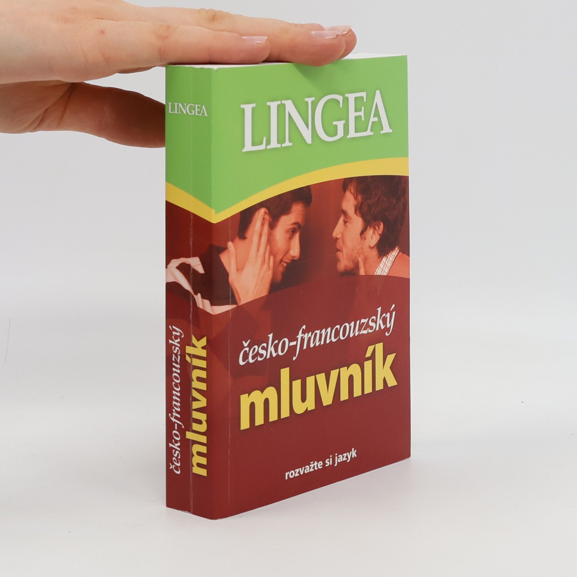 Autorenkollektiv Česko-francouzský mluvník