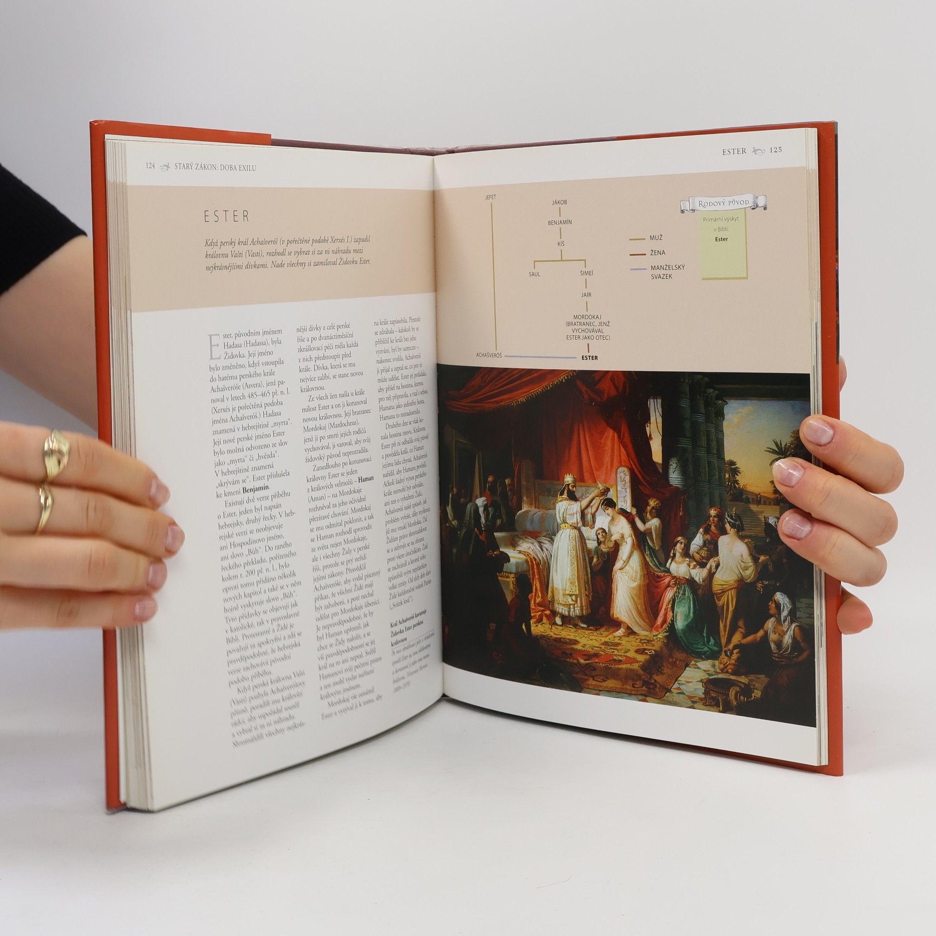 R.P. Nettelhorst Sto postav z Bible